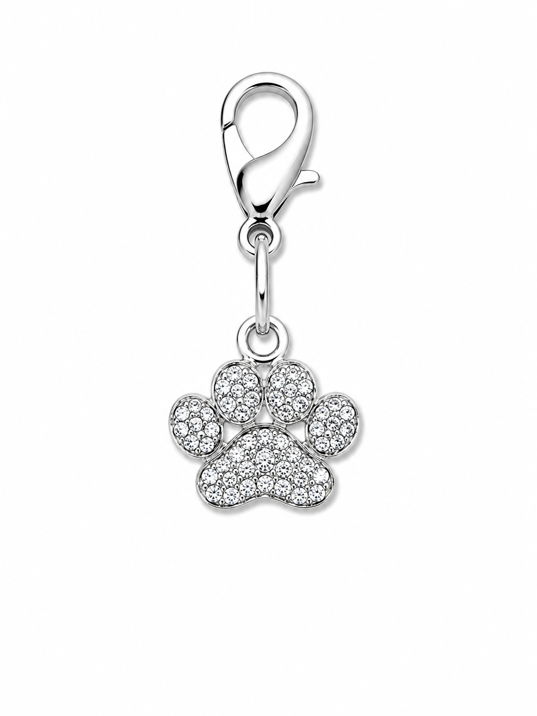Charm Un Tocco di Stile per il Tuo Pet - Zampa