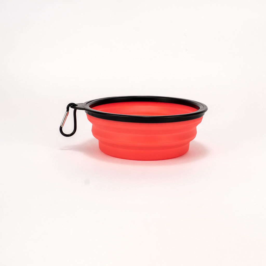 Ciotola pieghevole in silicone – Corallo ( 650 ml )