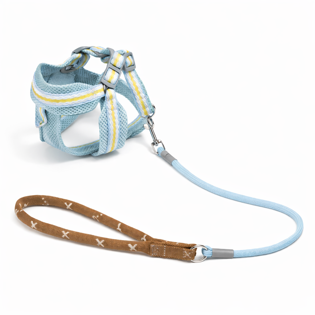 Set Guinzaglio e Pettorina Regolabile per Cuccioli - Celeste