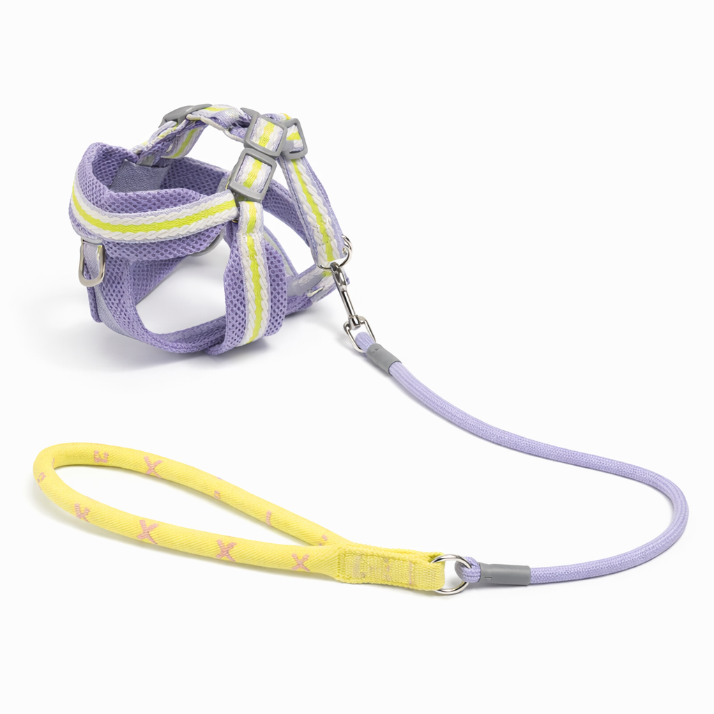 Set Guinzaglio e Pettorina Regolabile per Cuccioli - Lilla