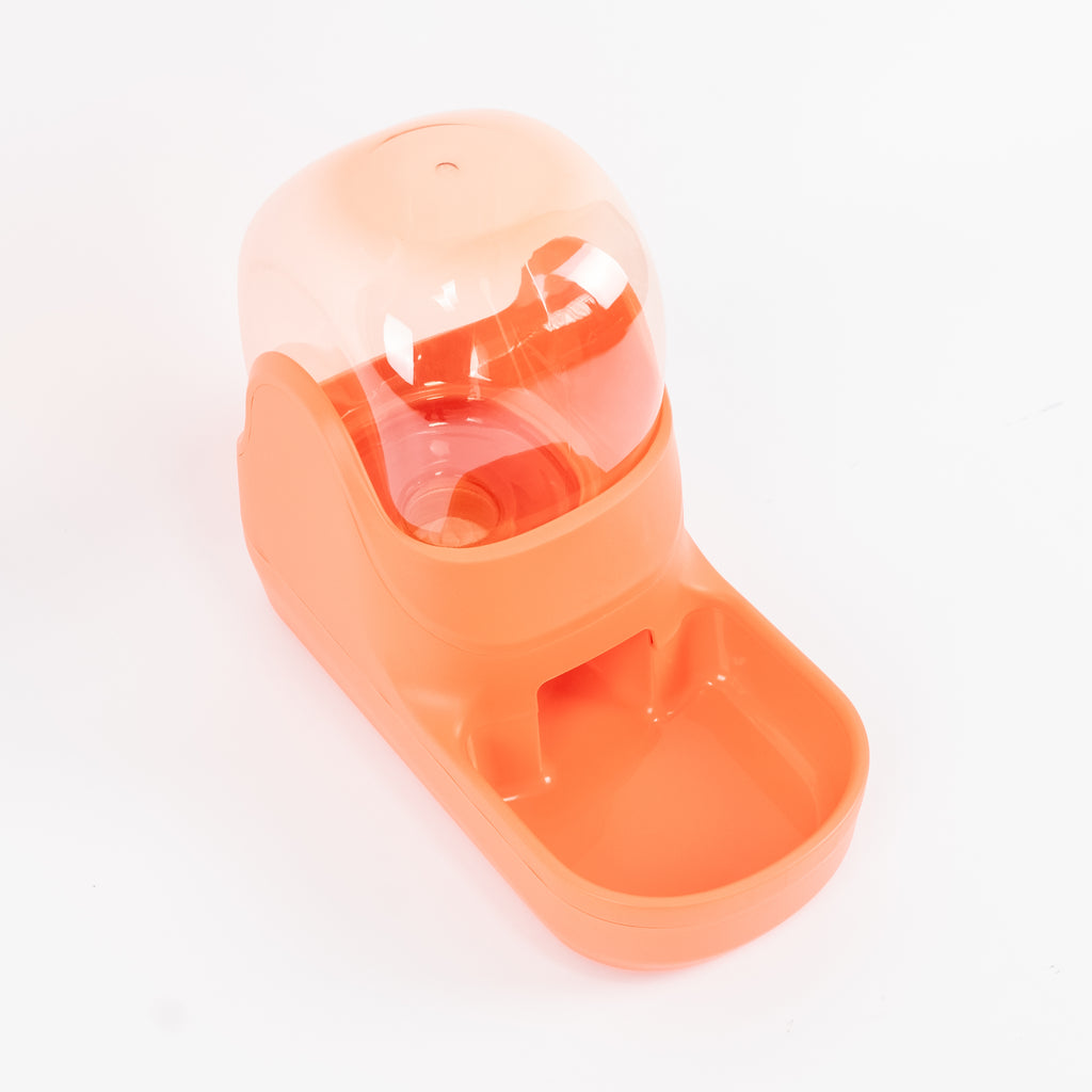 Distributore d'acqua per cani e gatti - Arancione