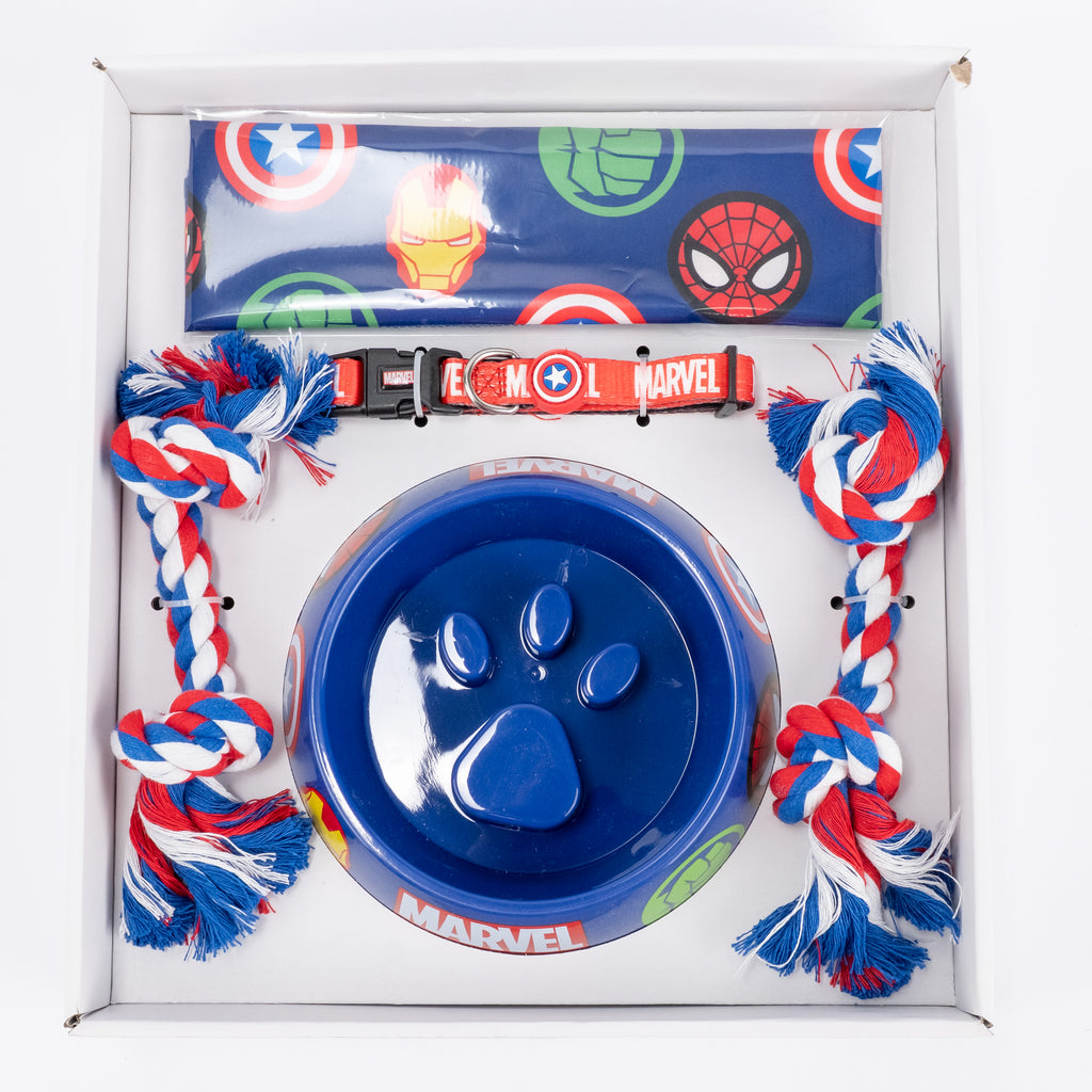 Set Ciotola, Collare, Bandana e Giochi - Design Cartoon