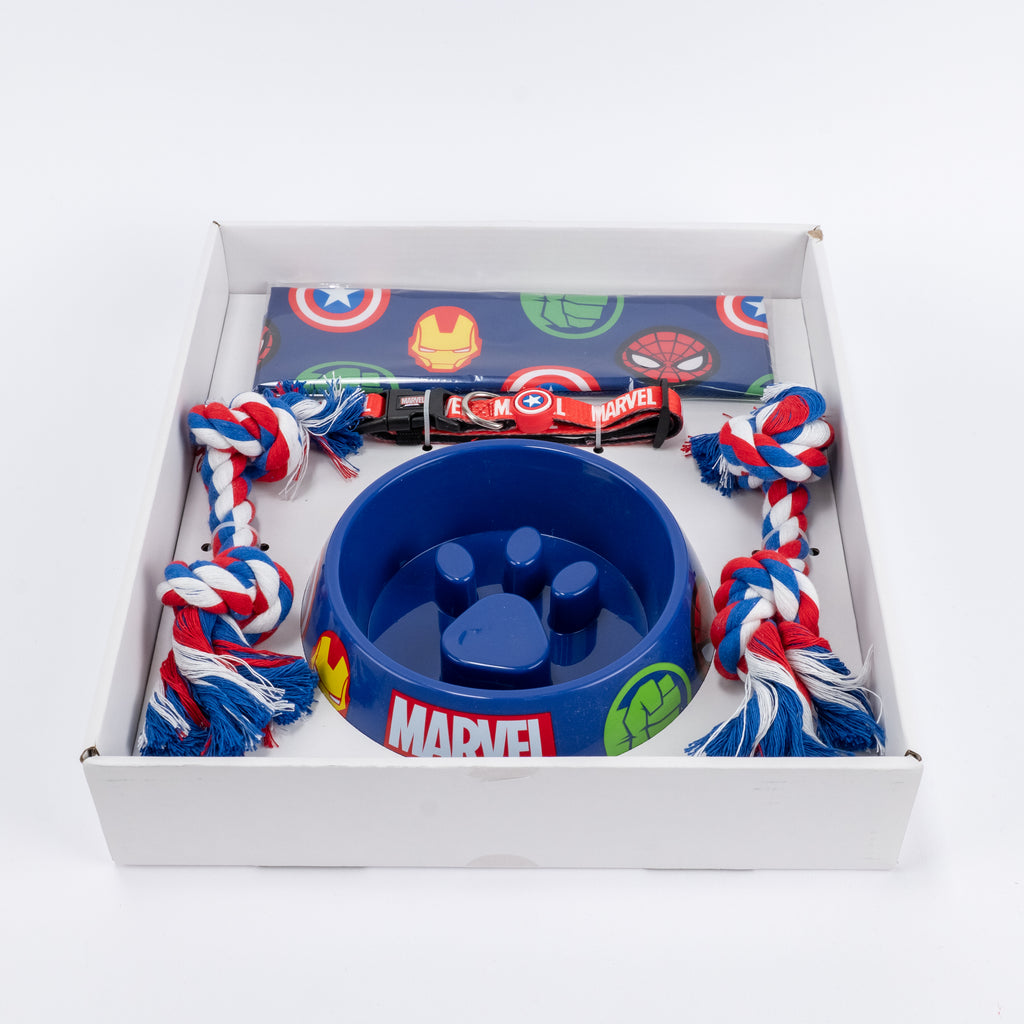 Set Ciotola, Collare, Bandana e Giochi - Design Cartoon