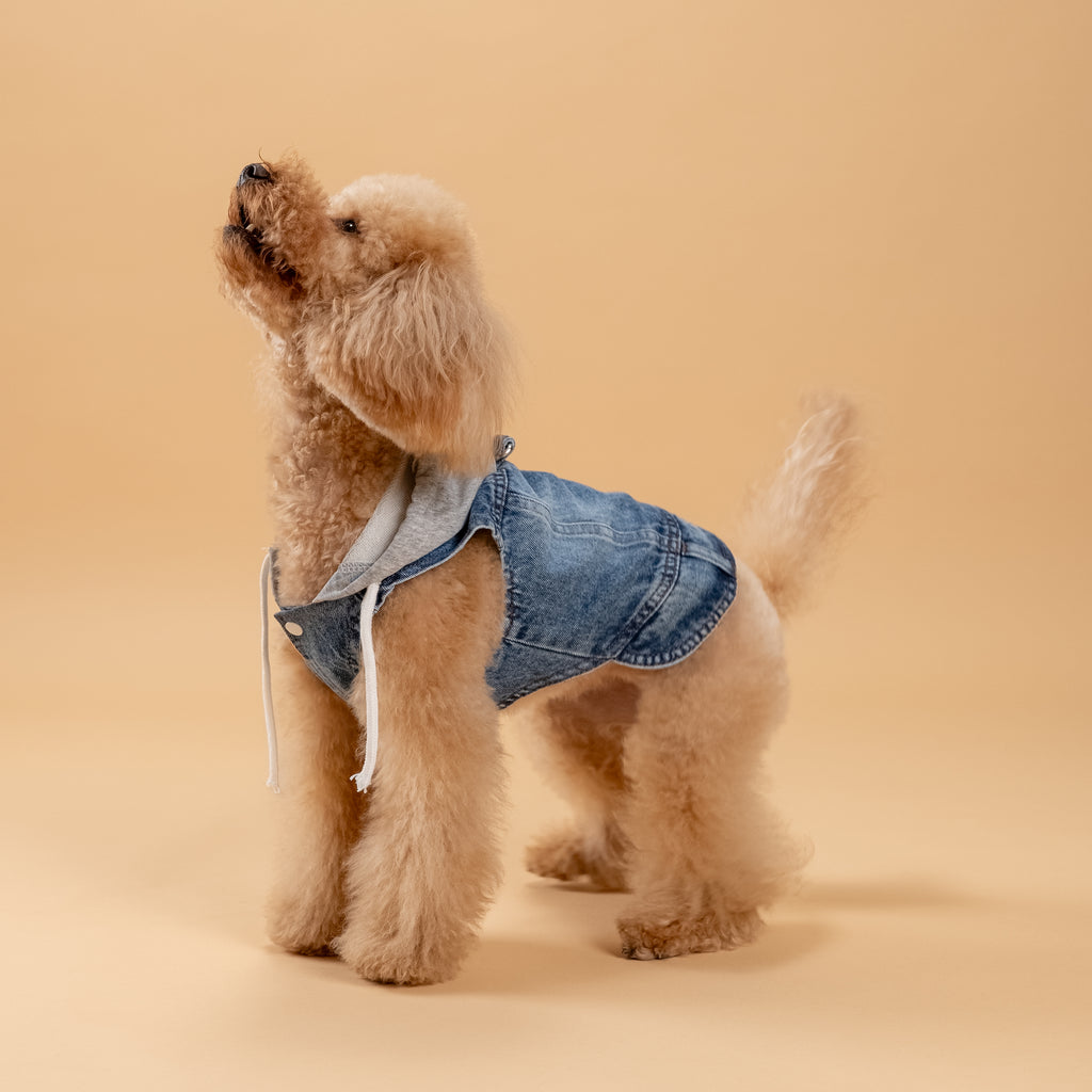 Smanicato effetto Denim con Cappuccio - Grigio