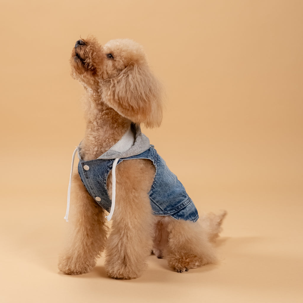 Smanicato effetto Denim con Cappuccio - Grigio