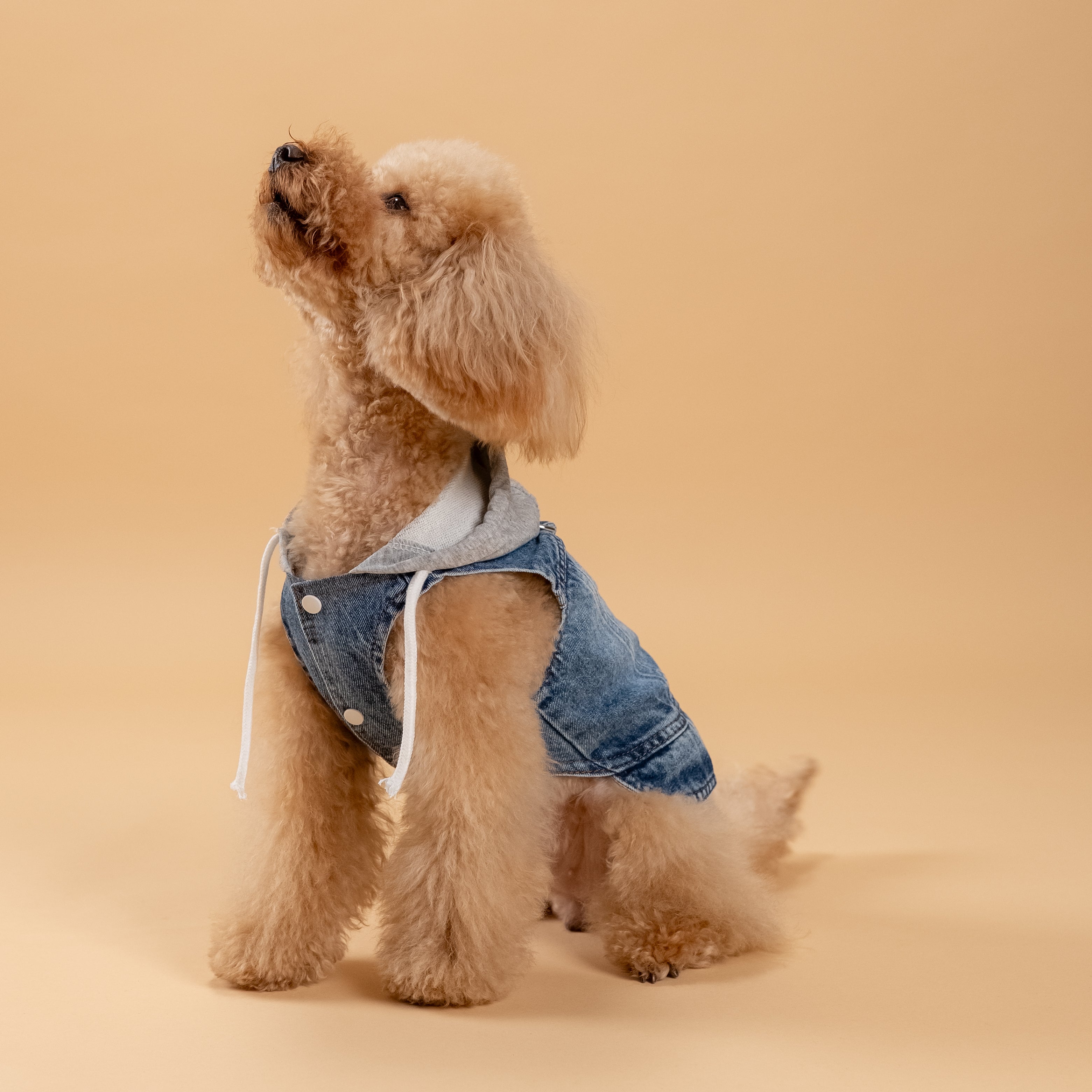 Smanicato effetto Denim con Cappuccio - Grigio