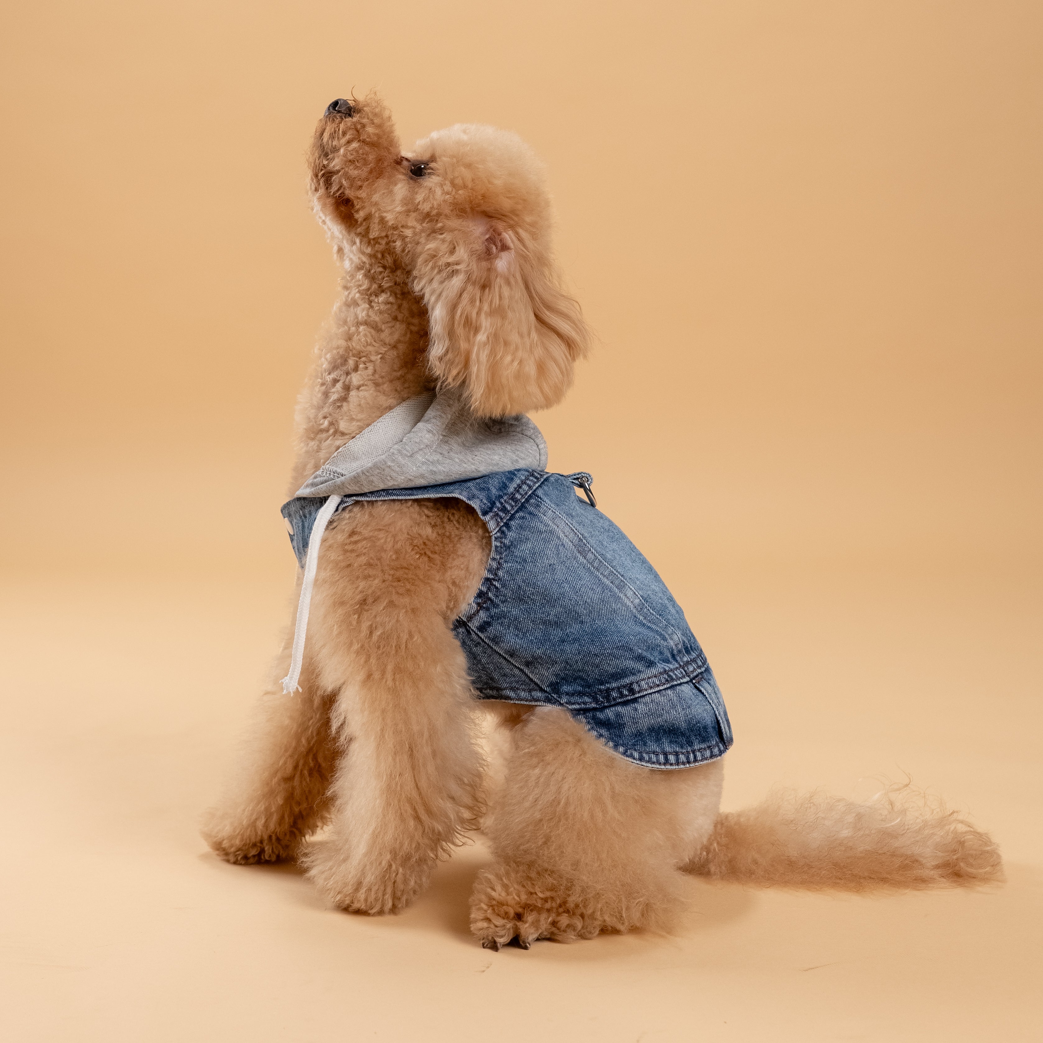 Smanicato effetto Denim con Cappuccio - Grigio