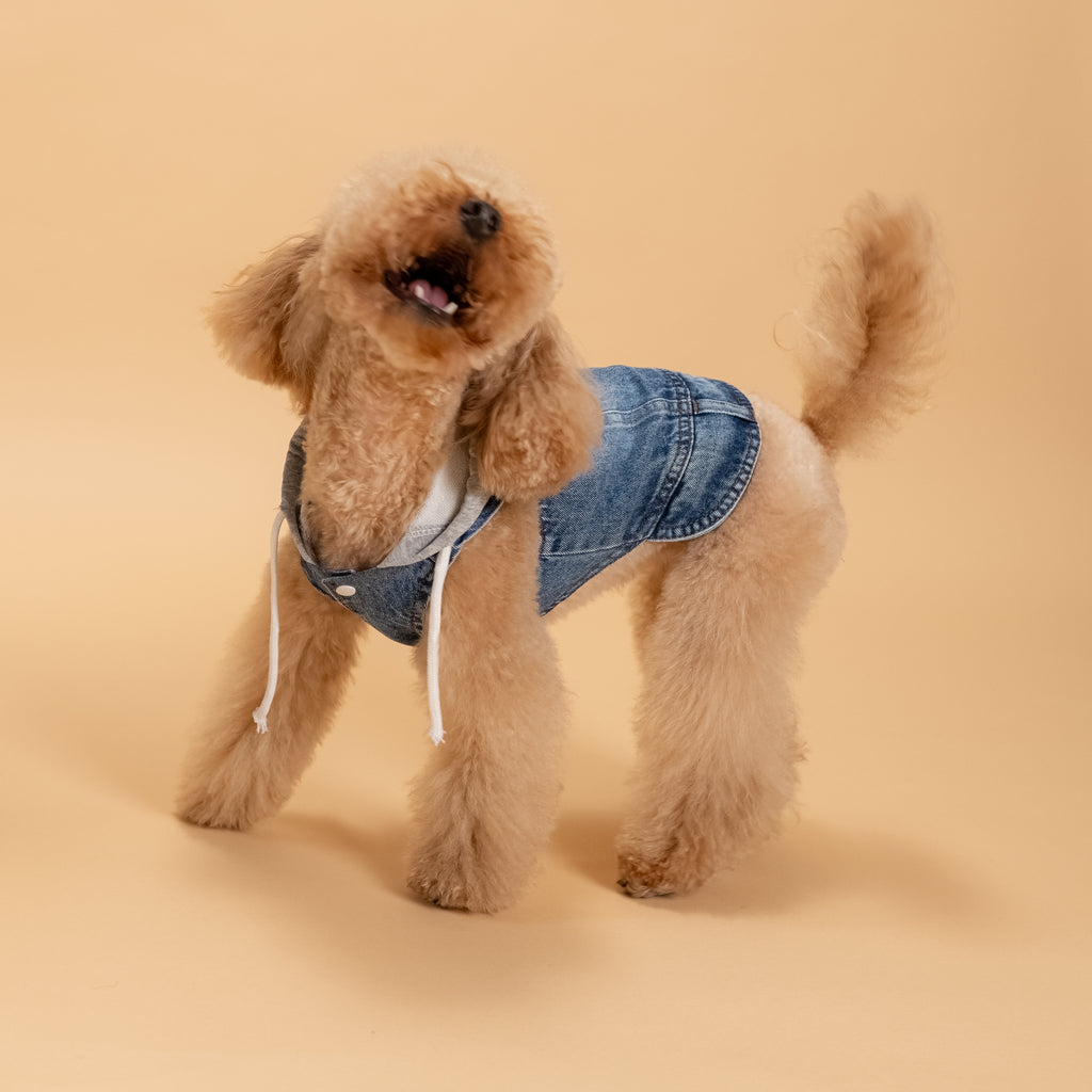 Smanicato effetto Denim con Cappuccio - Grigio