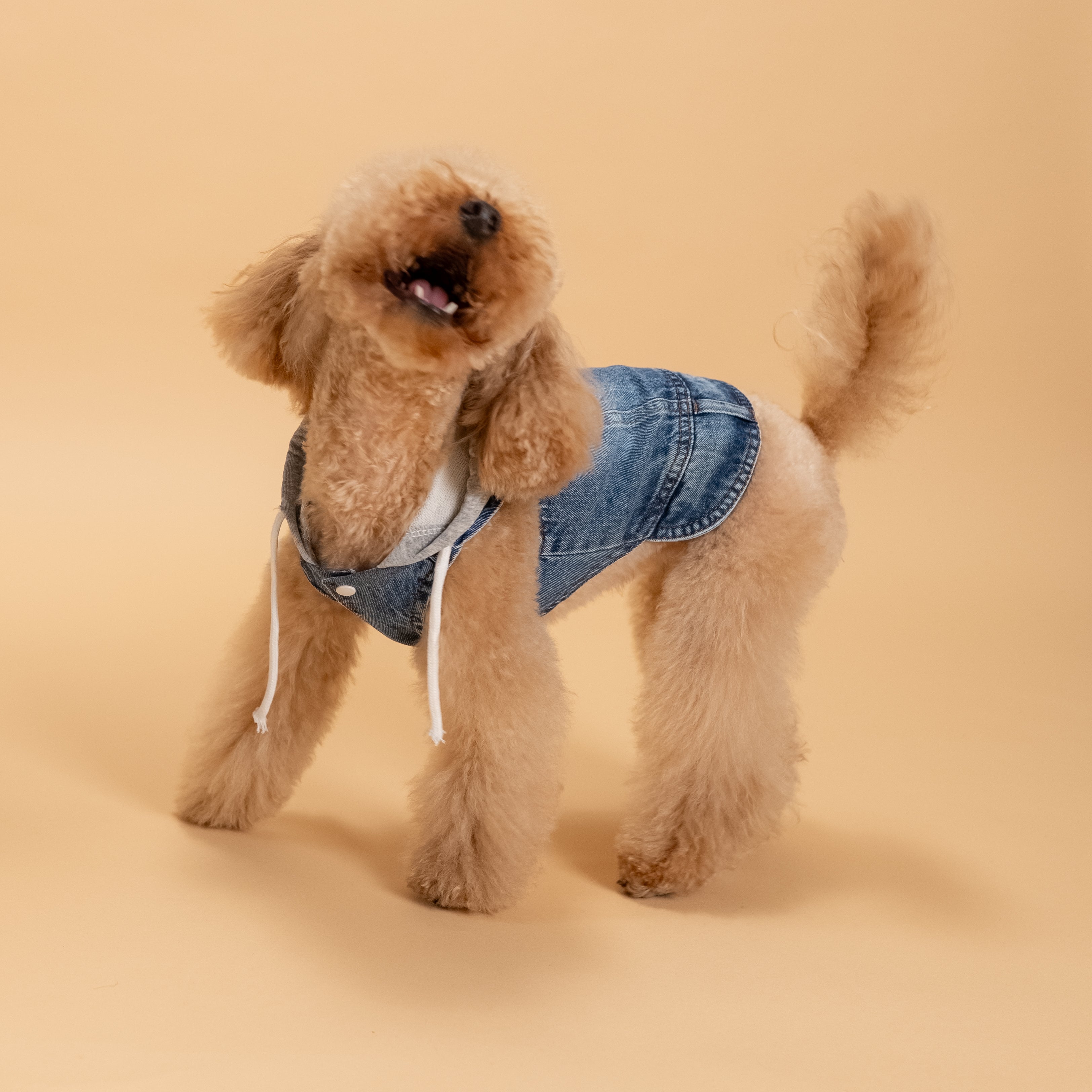 Smanicato effetto Denim con Cappuccio - Grigio