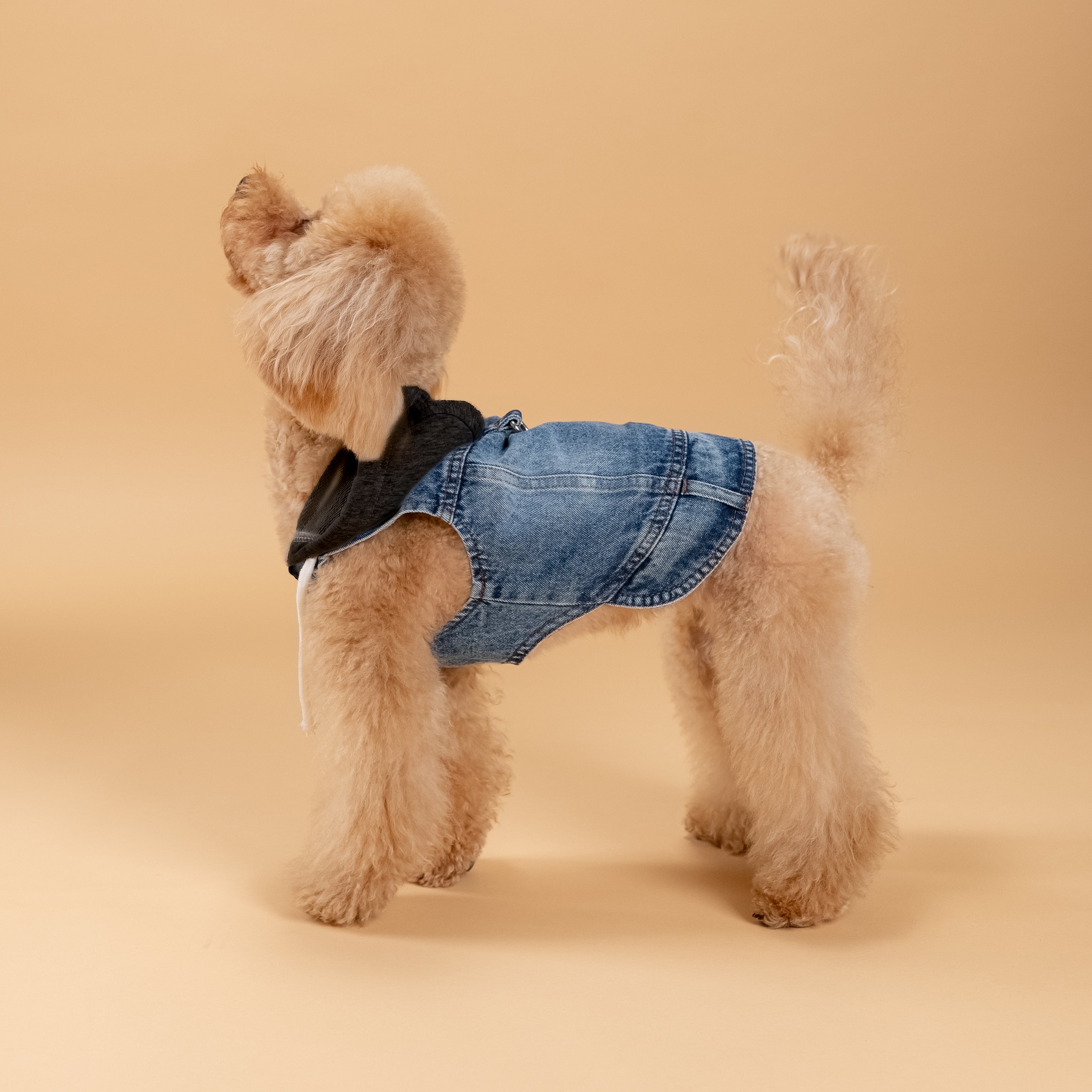 Smanicato effetto Denim con Cappuccio - Nero