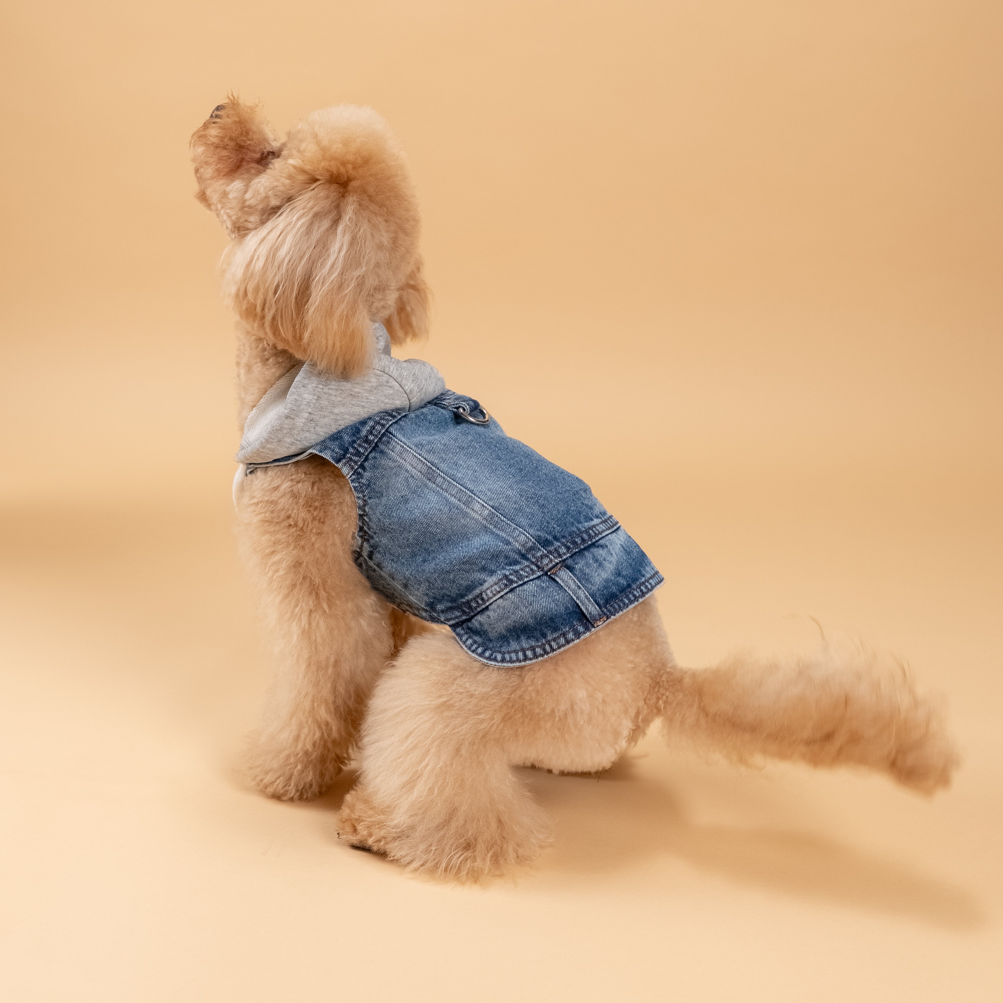 Smanicato effetto Denim con Cappuccio - Grigio