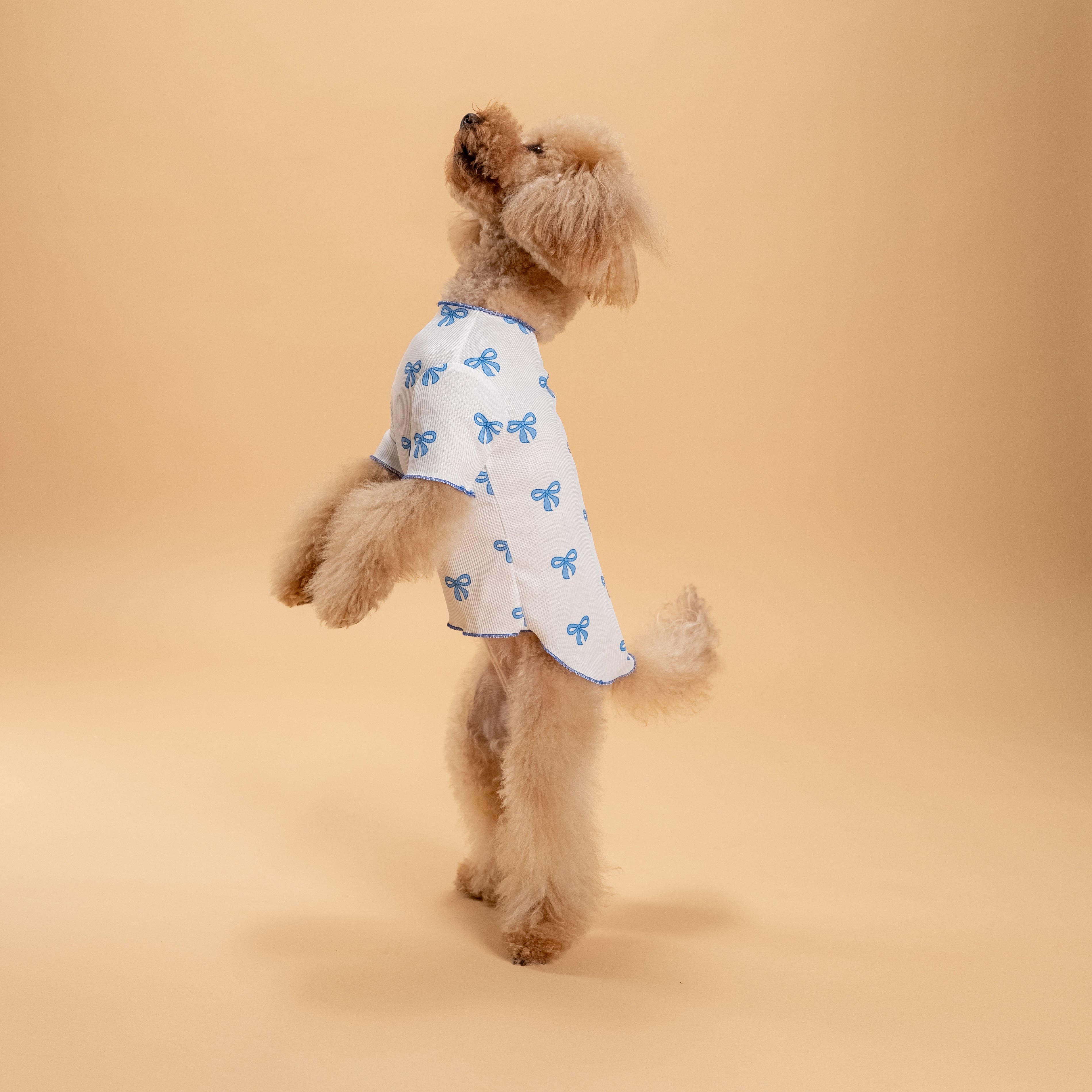 T-shirt a costina fantasia a fiocchetto