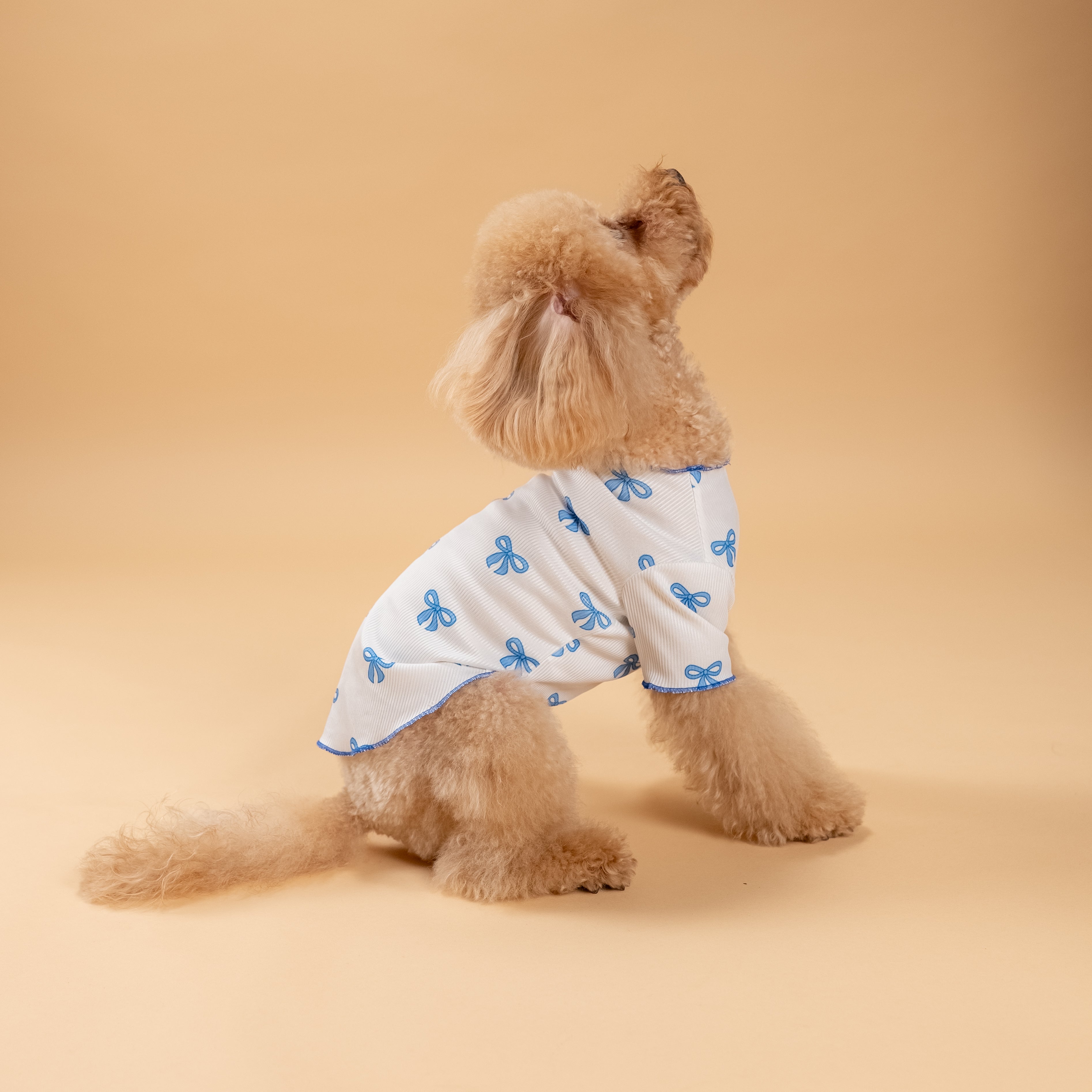 T-shirt a costina fantasia a fiocchetto