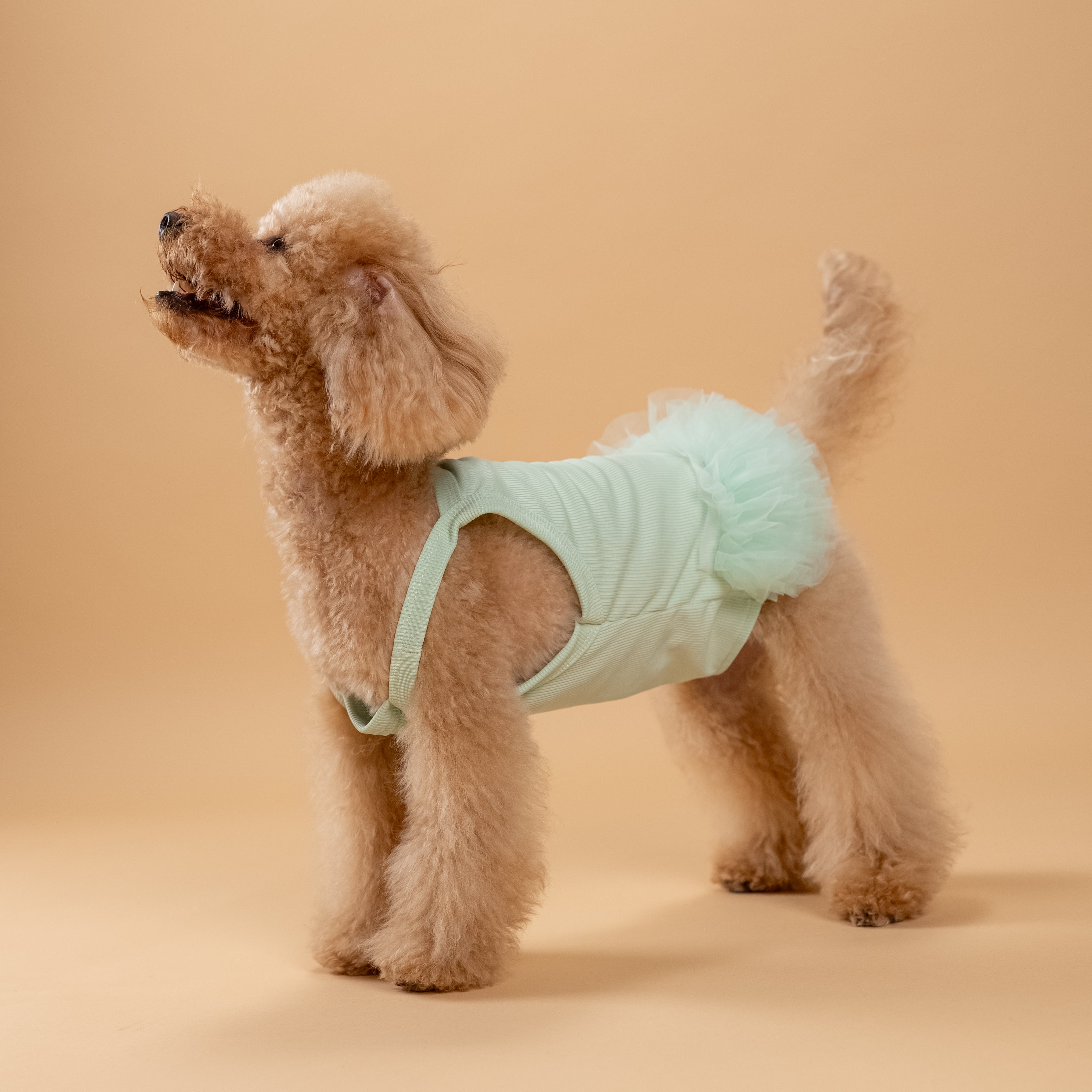 Vestitino a bretelline con tulle - Verde Acqua