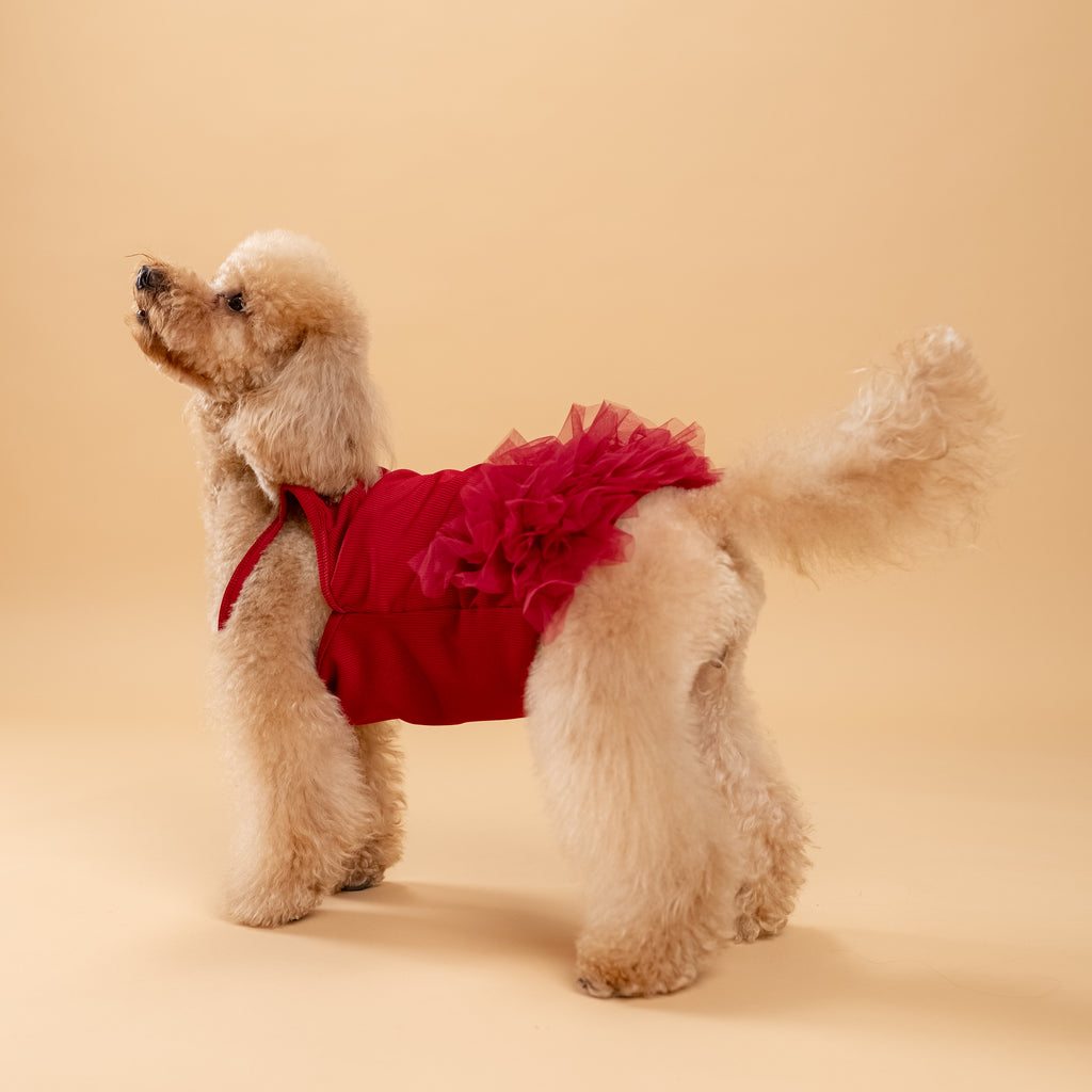 Vestitino a bretelline con tulle - Bordeaux