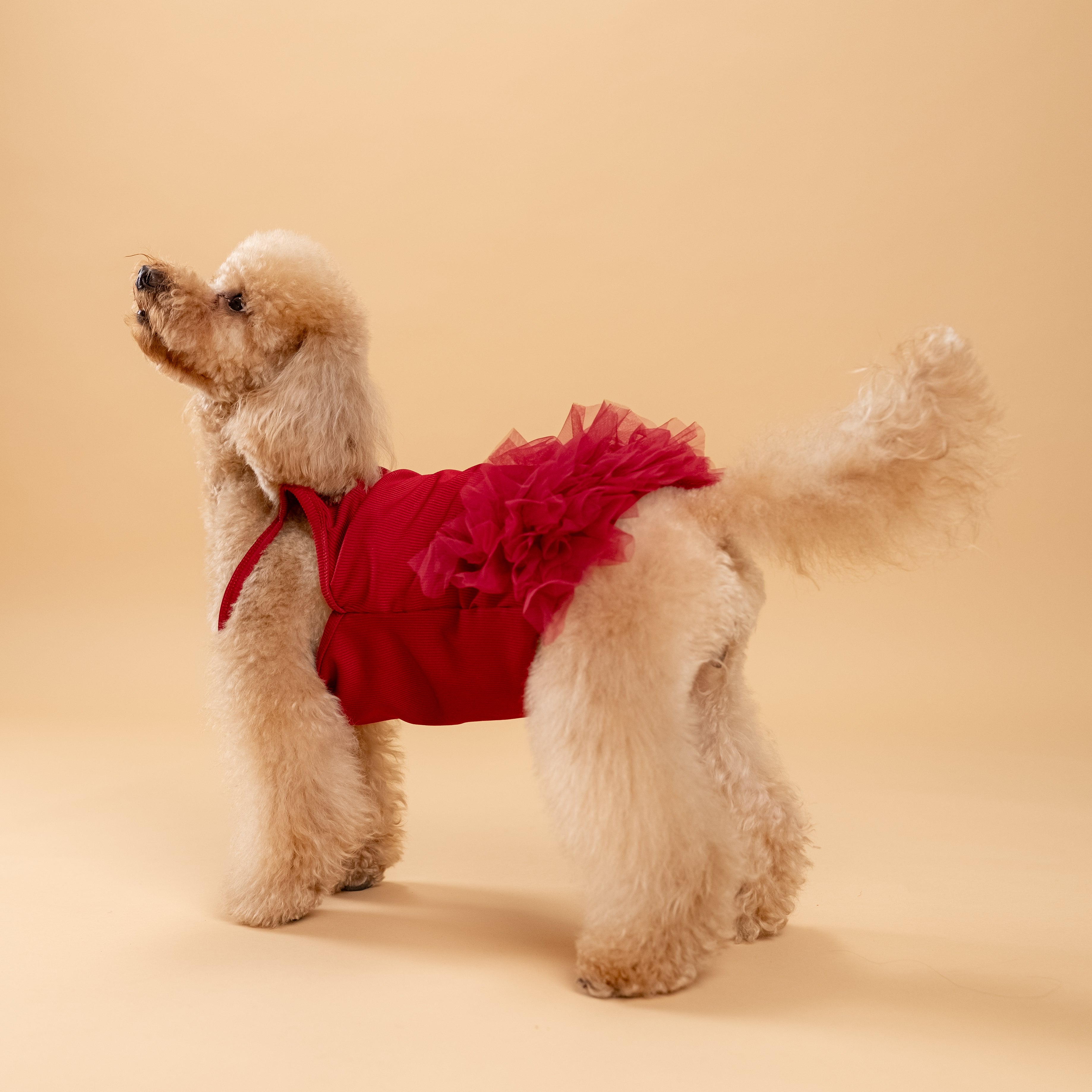 Vestitino a bretelline con tulle - Bordeaux