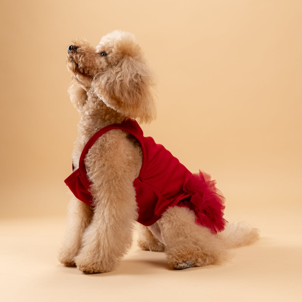 Vestitino a bretelline con tulle - Bordeaux