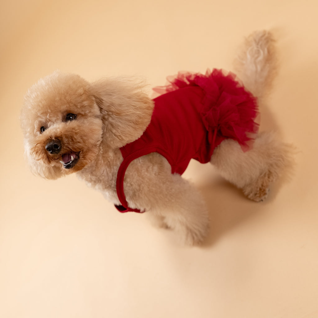 Vestitino a bretelline con tulle - Bordeaux