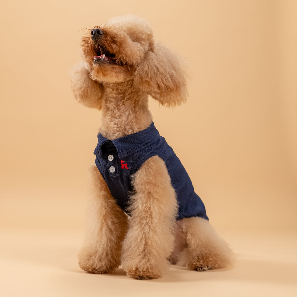 Polo a giromanica con dettaglio ricamato - Blu