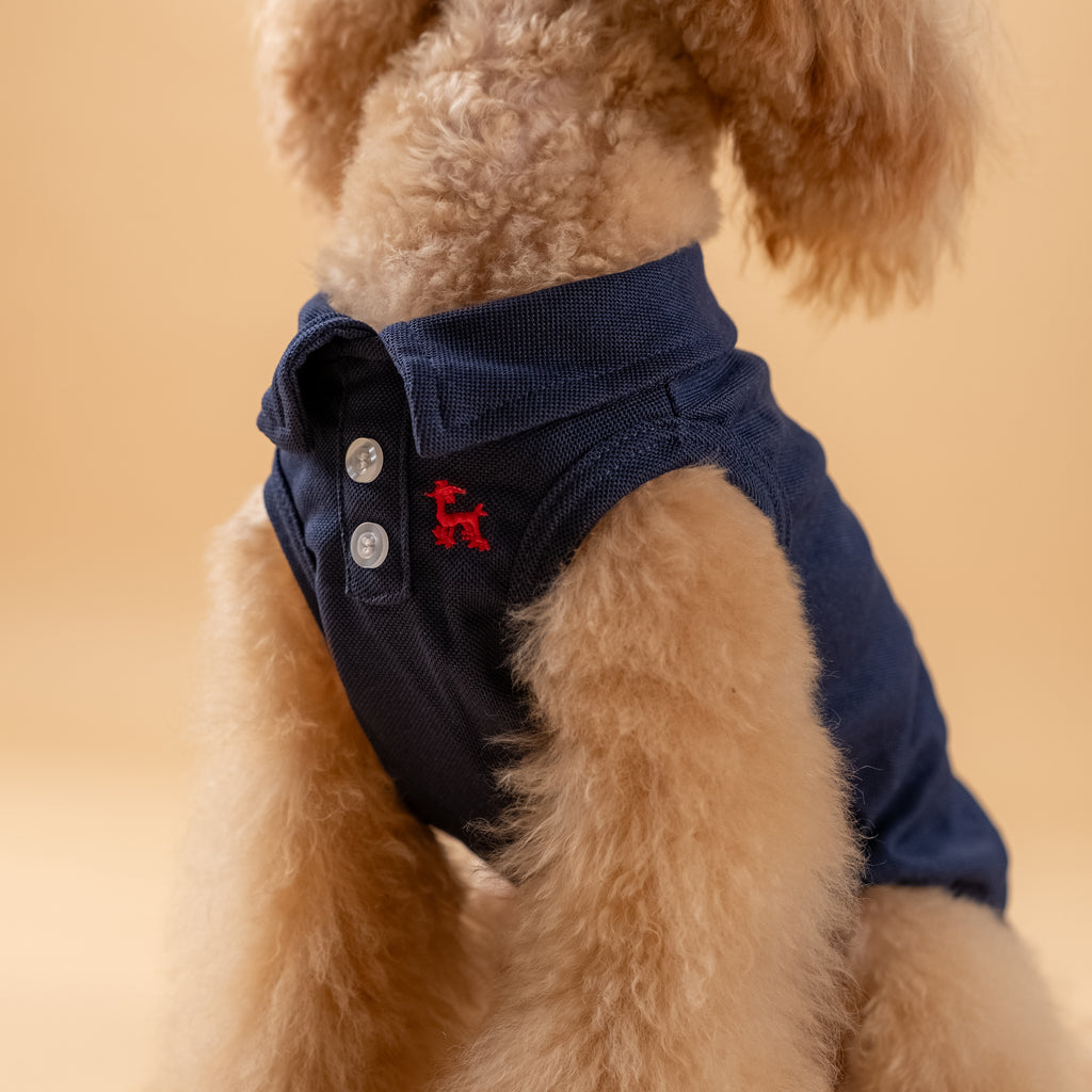 Polo a giromanica con dettaglio ricamato - Blu