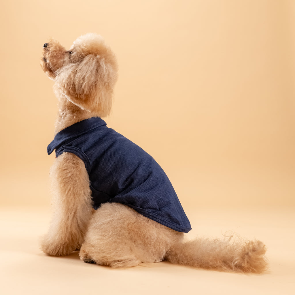 Polo a giromanica con dettaglio ricamato - Blu