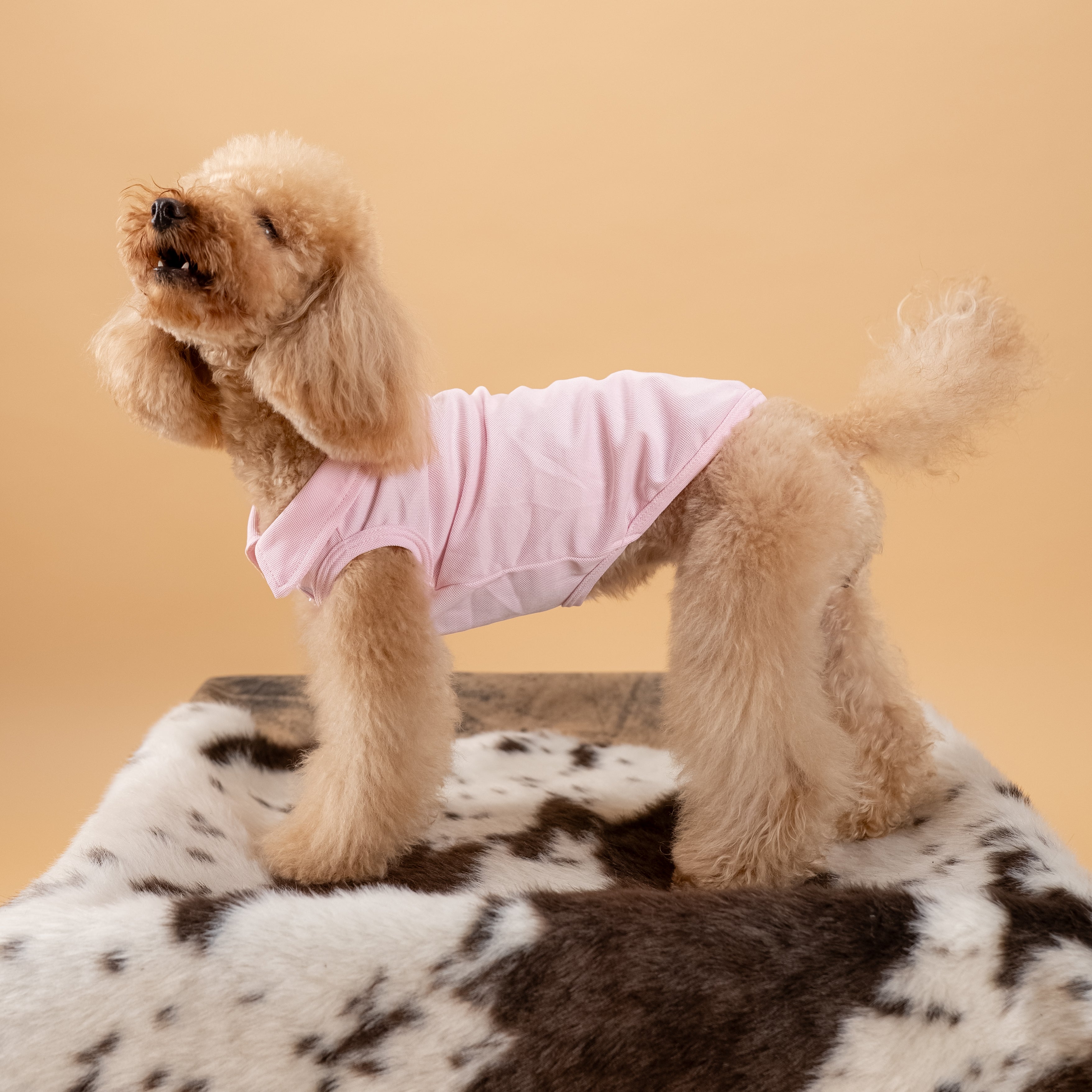 Polo a giromanica con dettaglio ricamato - Rosa