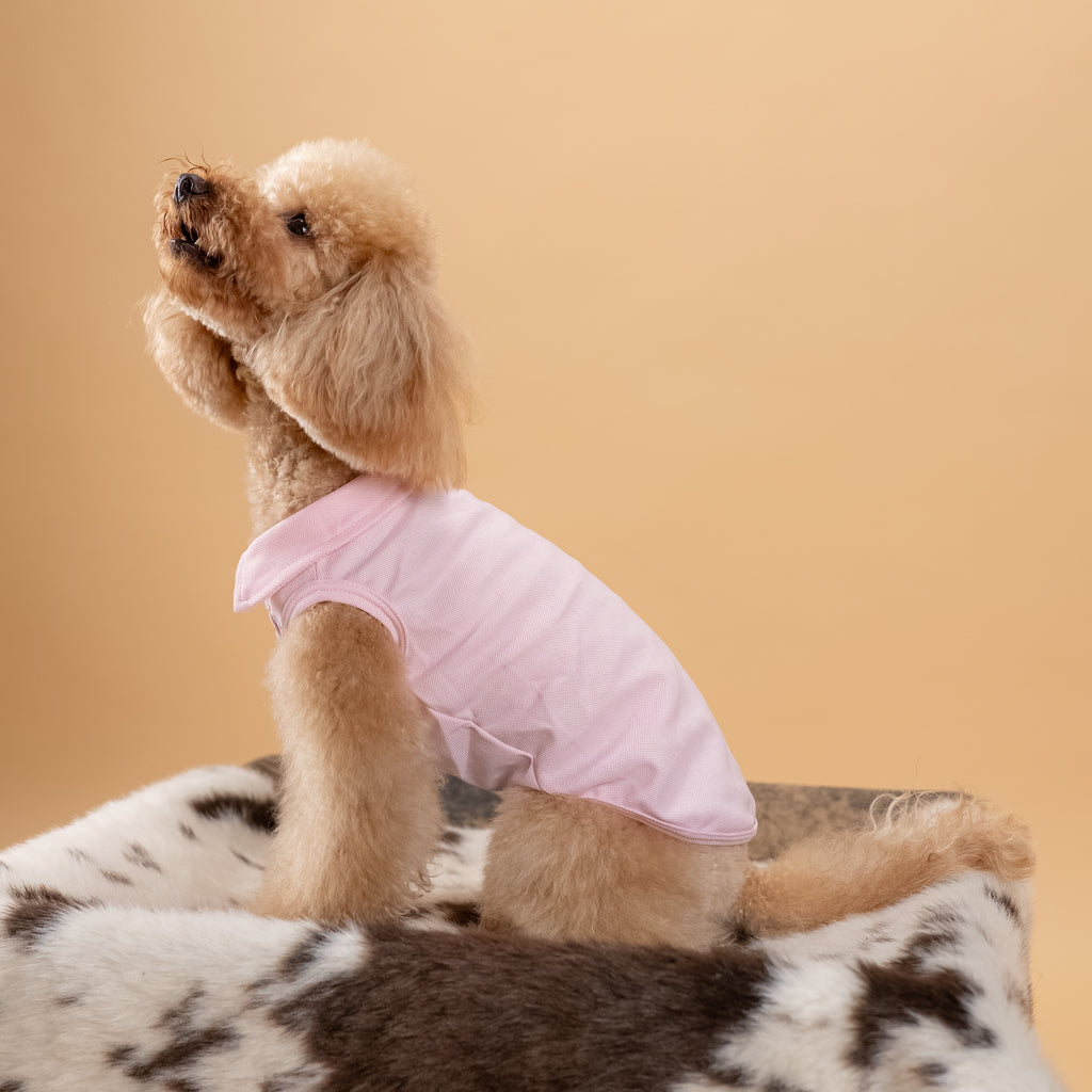 Polo a giromanica con dettaglio ricamato - Rosa