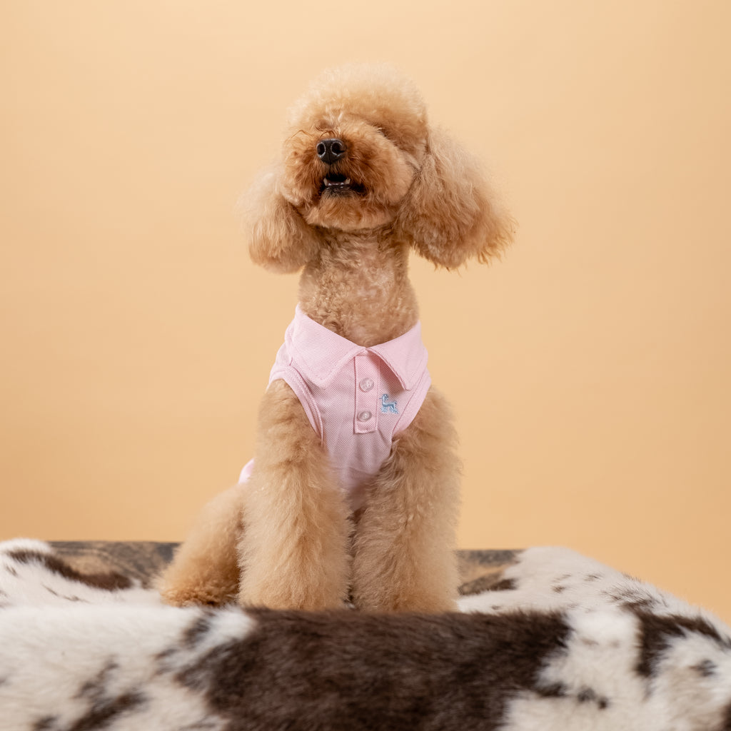 Polo a giromanica con dettaglio ricamato - Rosa