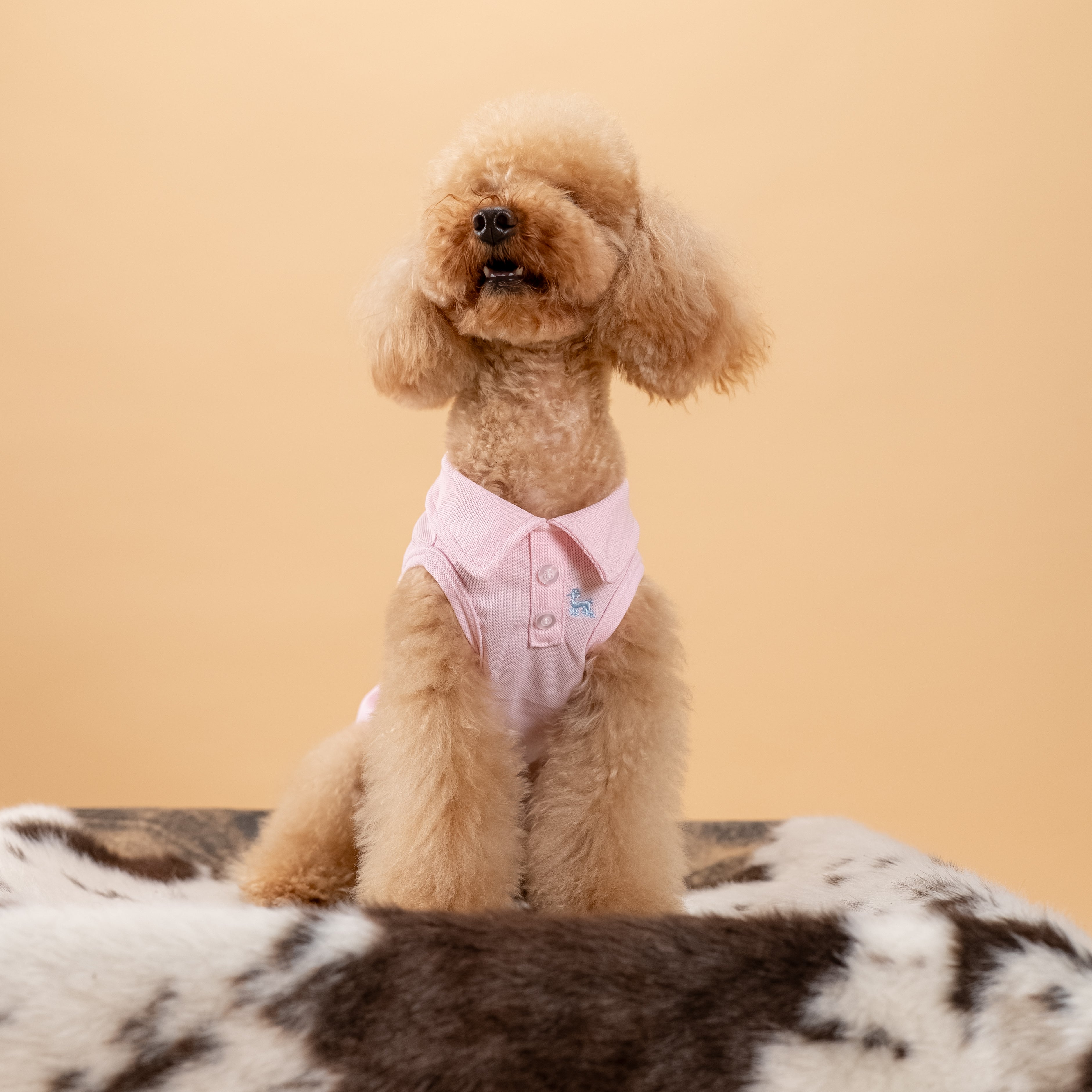 Polo a giromanica con dettaglio ricamato - Rosa