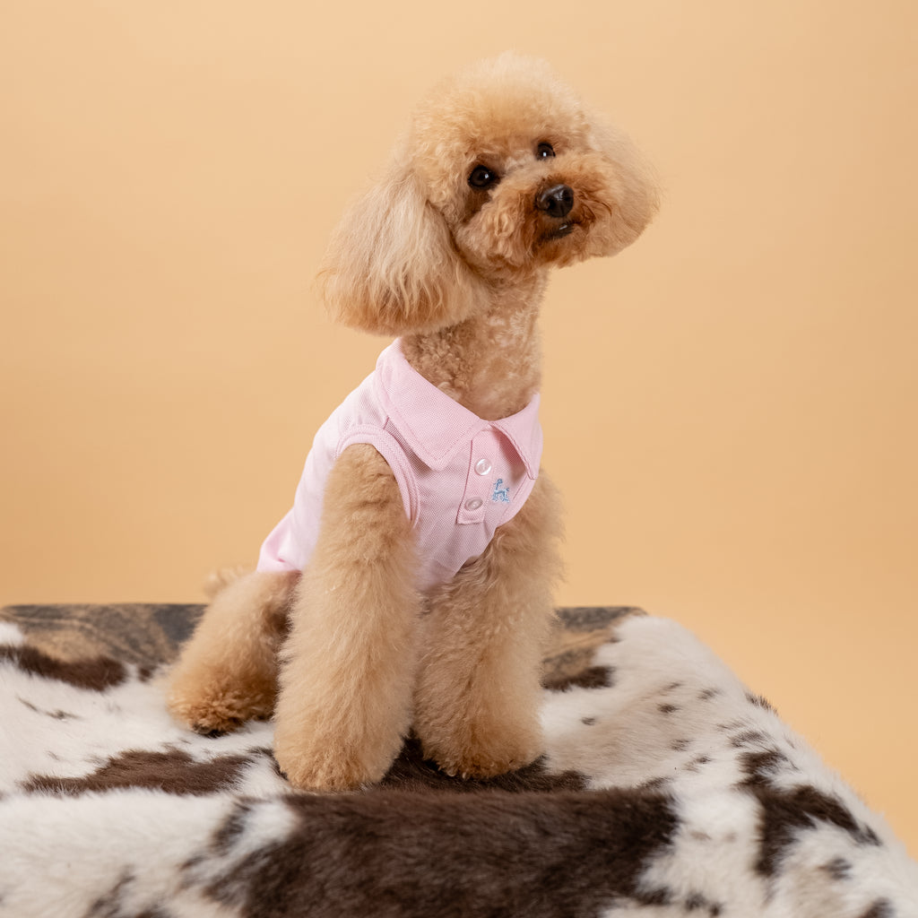 Polo a giromanica con dettaglio ricamato - Rosa