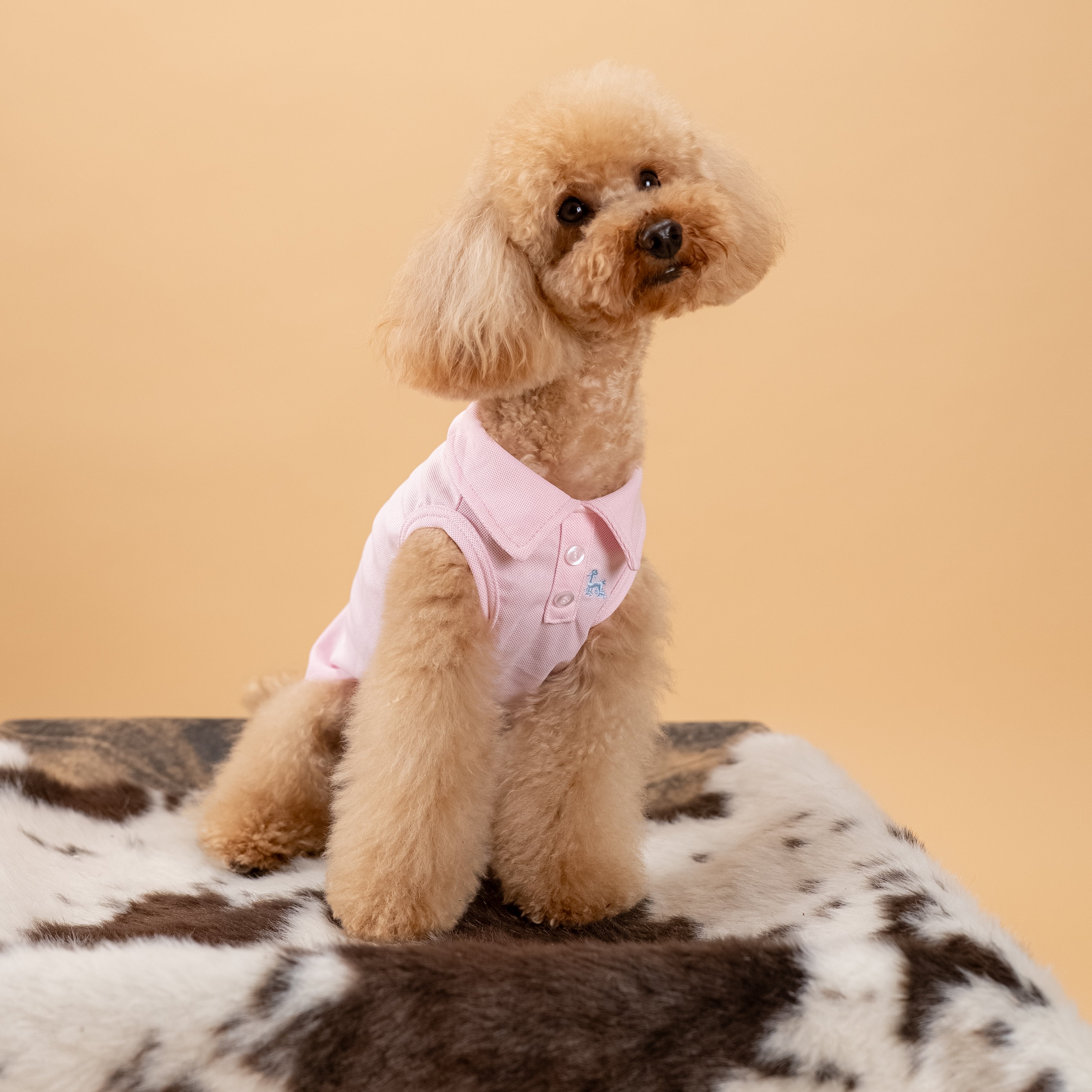 Polo a giromanica con dettaglio ricamato - Rosa