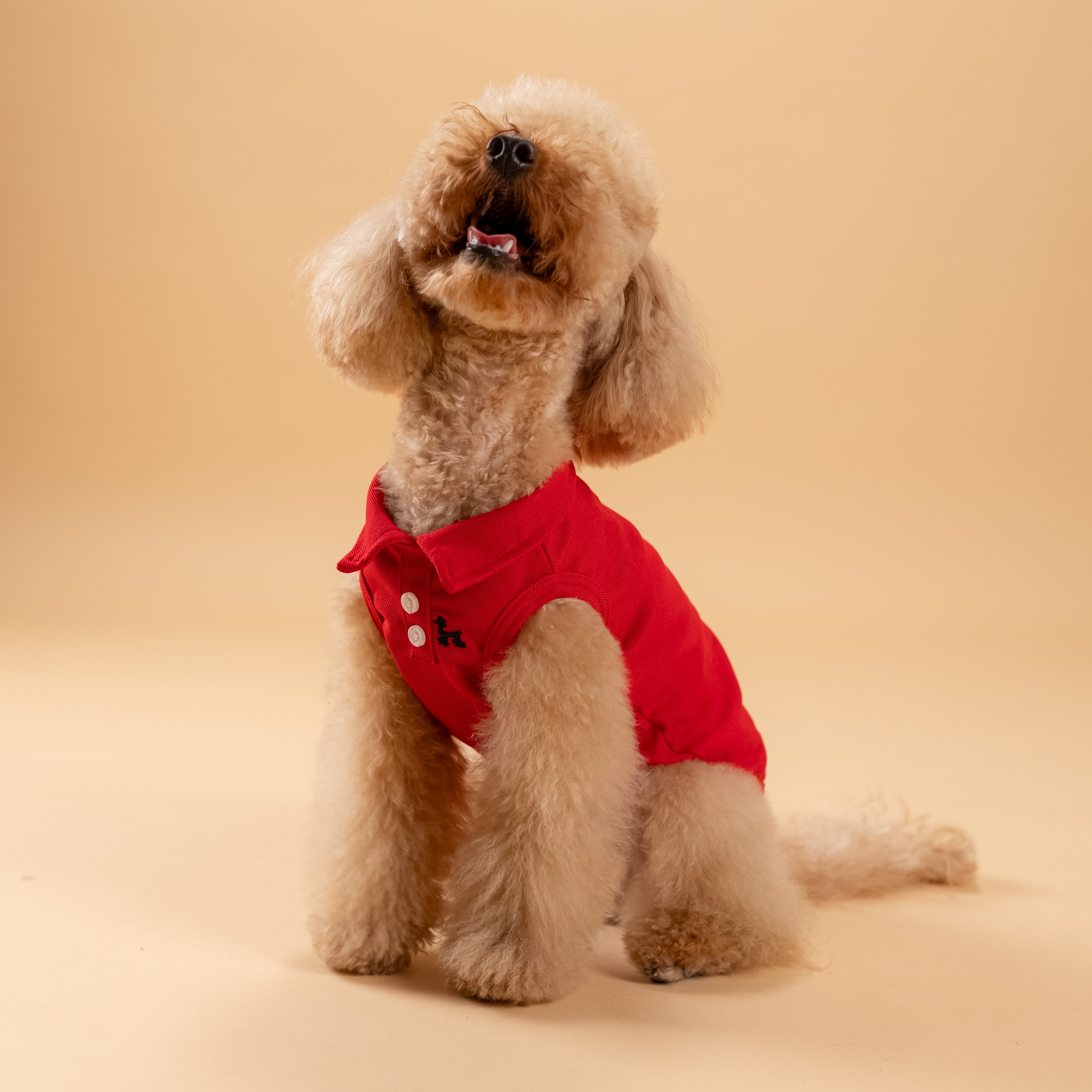 Polo a giromanica con dettaglio ricamato - Rosso