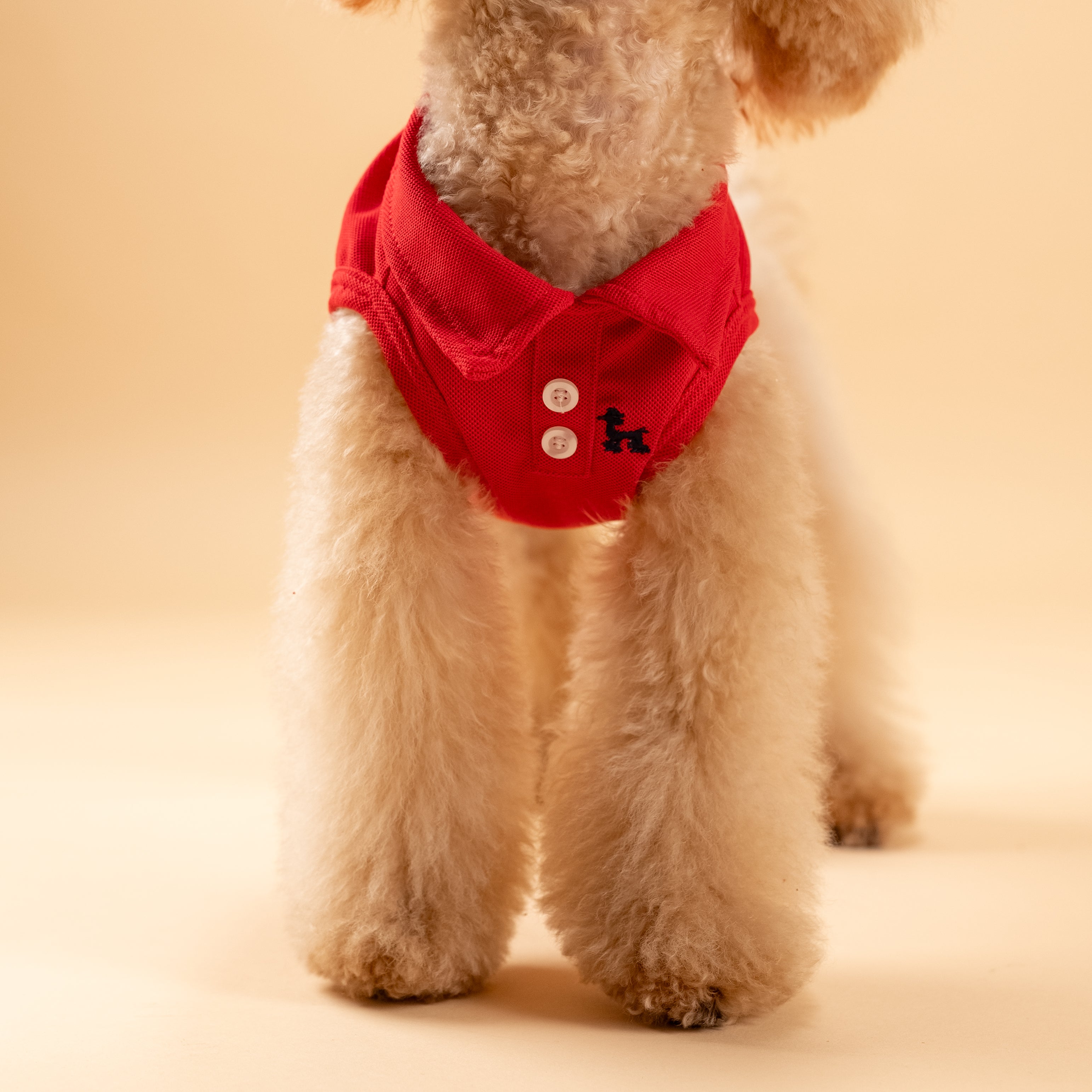 Polo a giromanica con dettaglio ricamato - Rosso