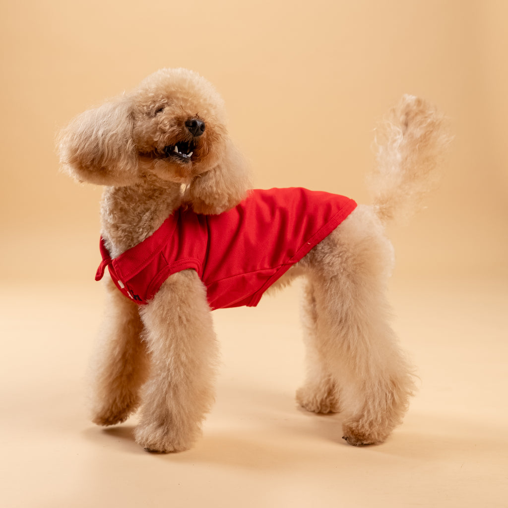 Polo a giromanica con dettaglio ricamato - Rosso