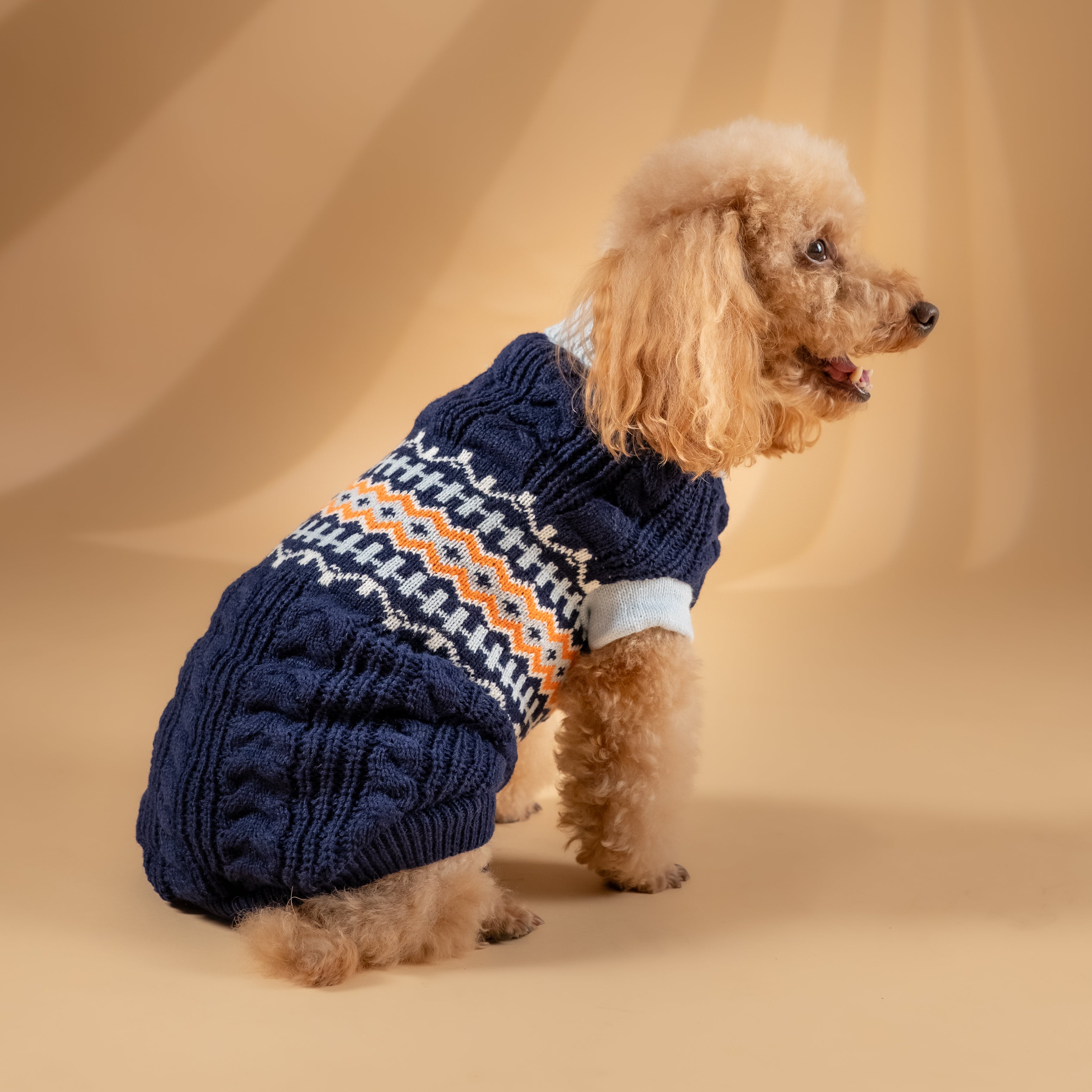 Maglioncino Dolcevita Fantasia Fair Isle - Blu