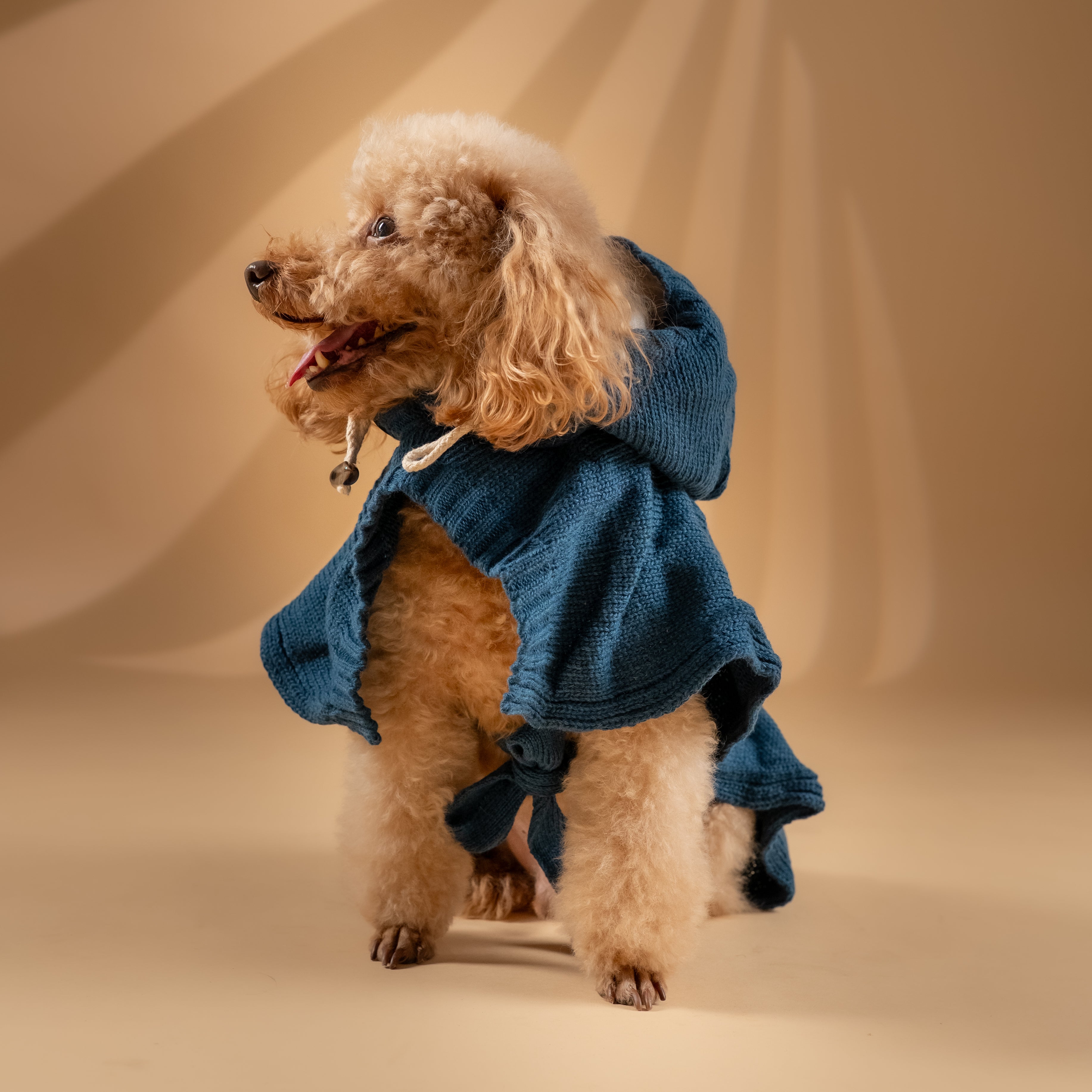 Poncho Invernale per Cani - Verde Petrolio