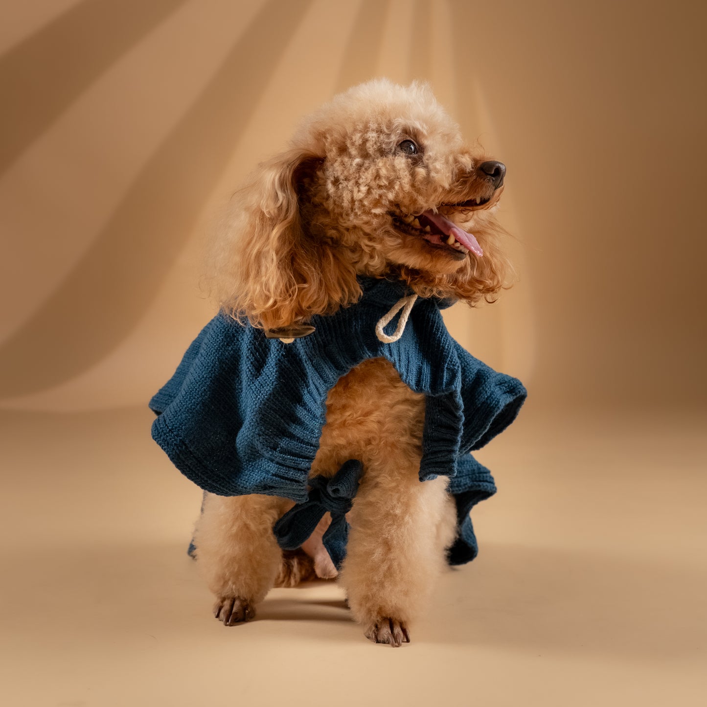 Poncho Invernale per Cani - Verde Petrolio