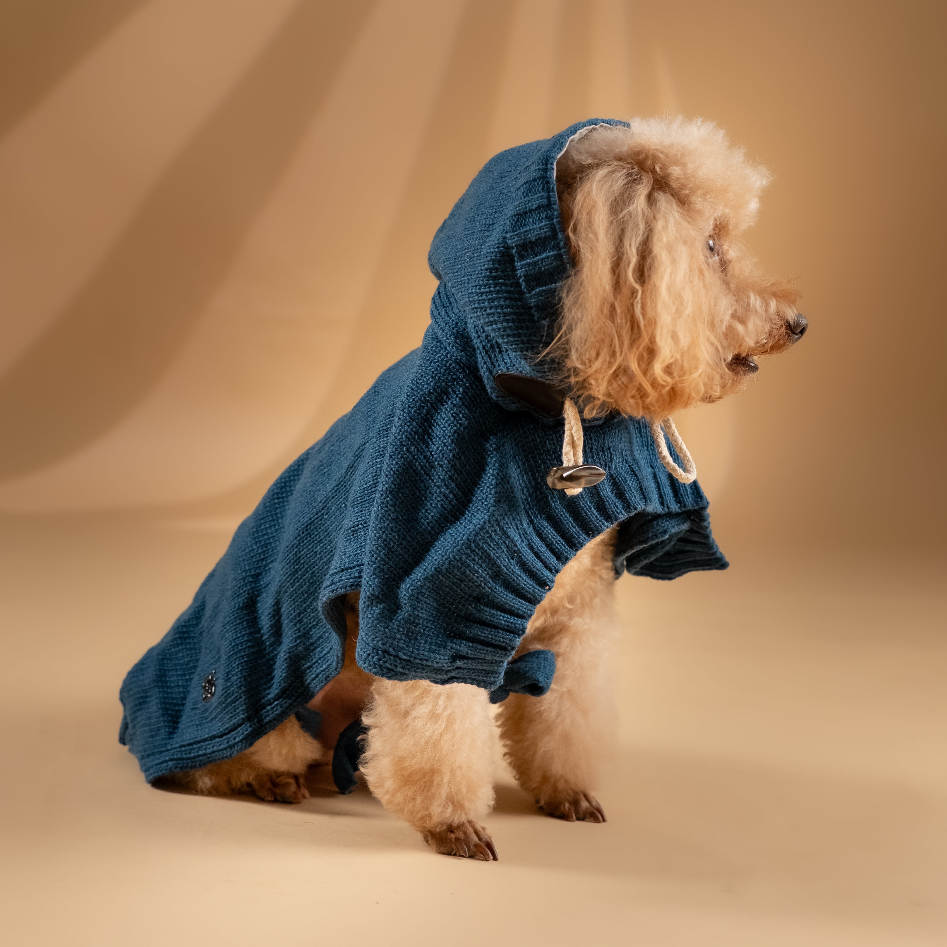 Poncho Invernale per Cani - Verde Petrolio