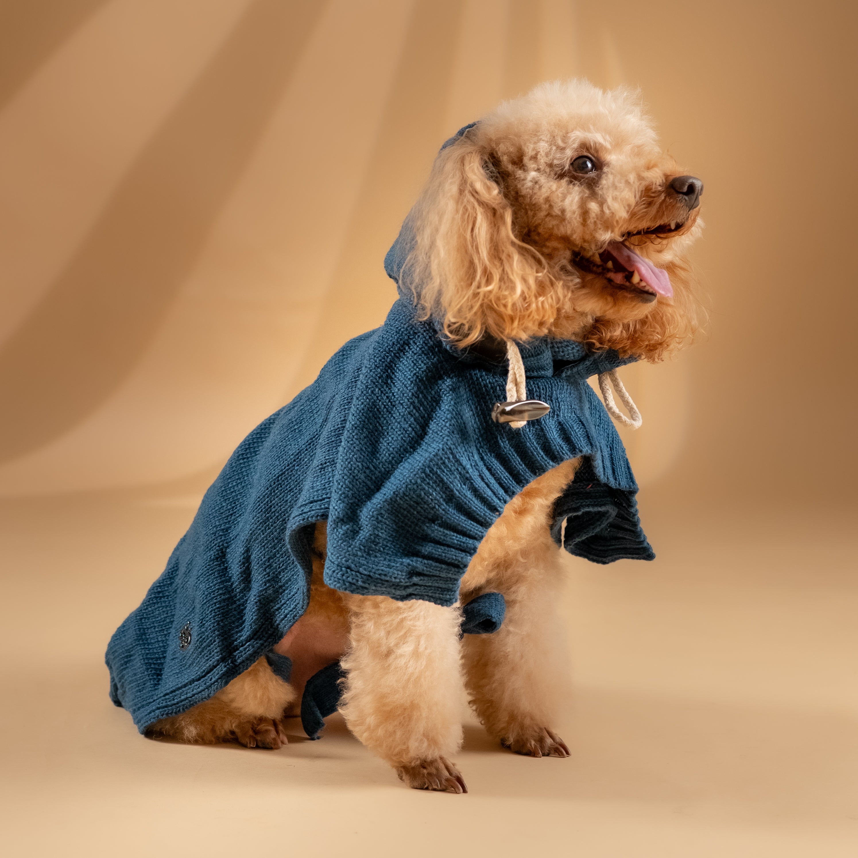 Poncho Invernale per Cani - Verde Petrolio