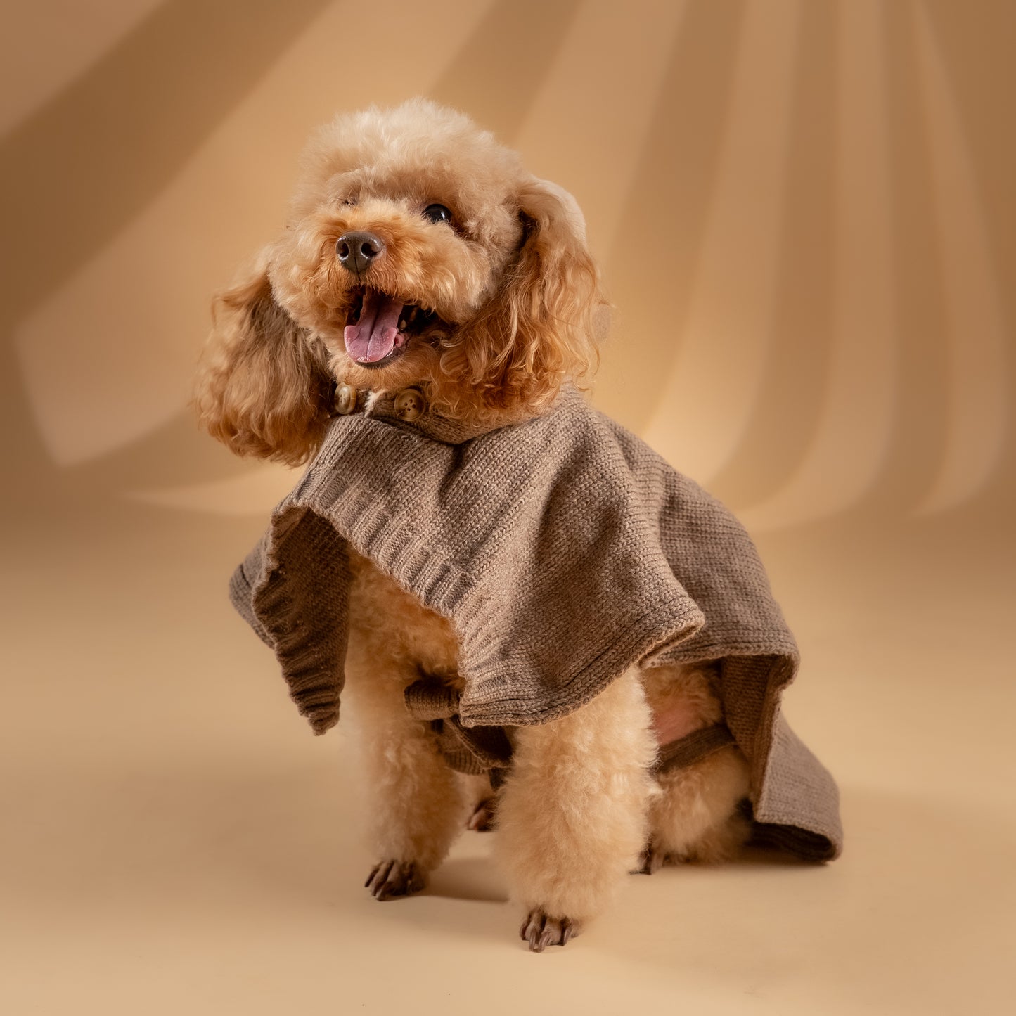 Poncho Invernale per Cani - Tortora