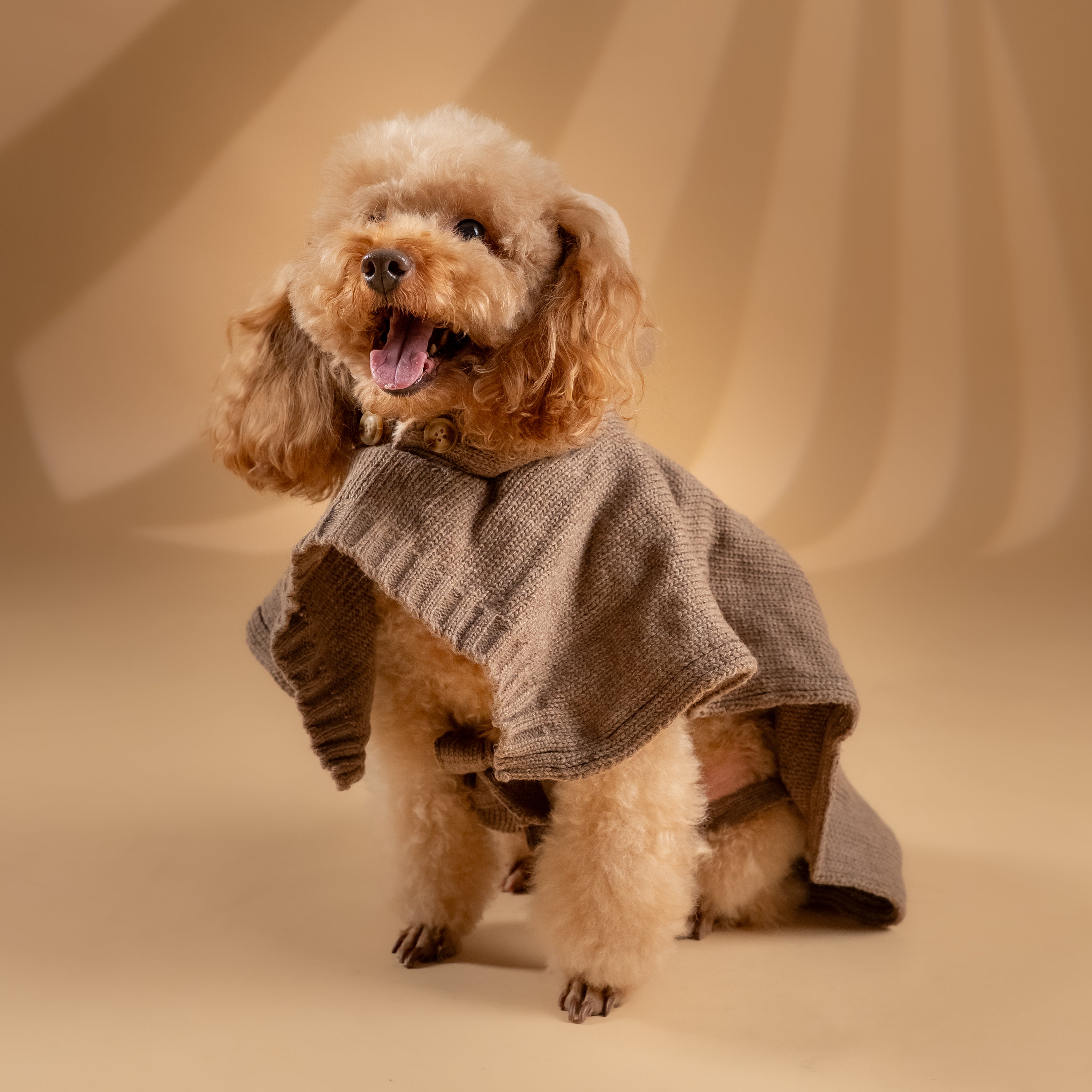 Poncho Invernale per Cani - Tortora