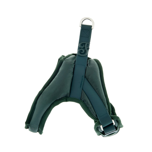 Pettorina per Cani “Nuvola” - Verde