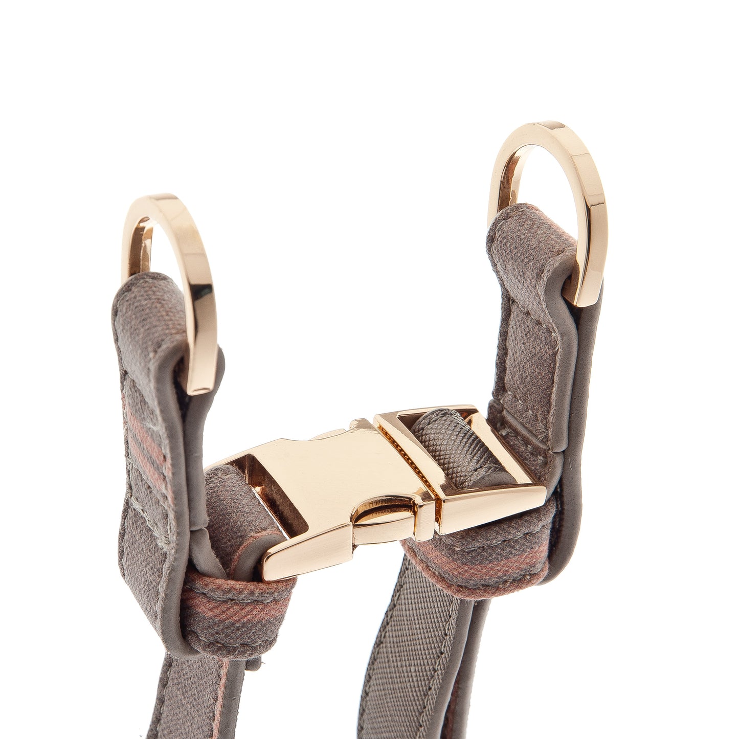 Pettorina “Mokka” Fantasia Principe di Galles