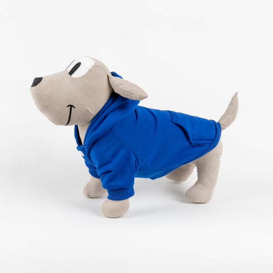 Felpa College con Cappuccio - Blu Royal