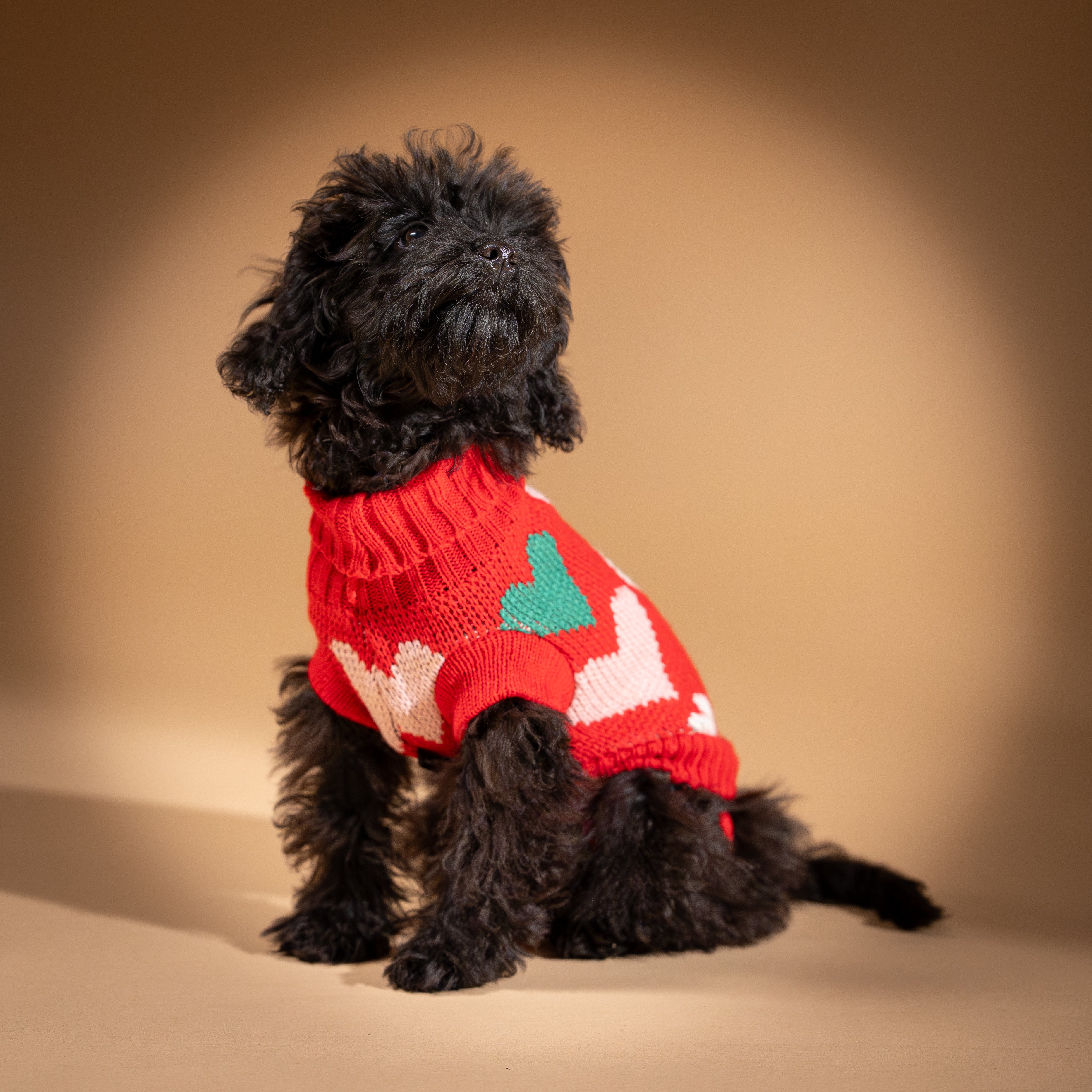 Maglioncino Dolcevita con Fantasia a Cuoricini - Rosso