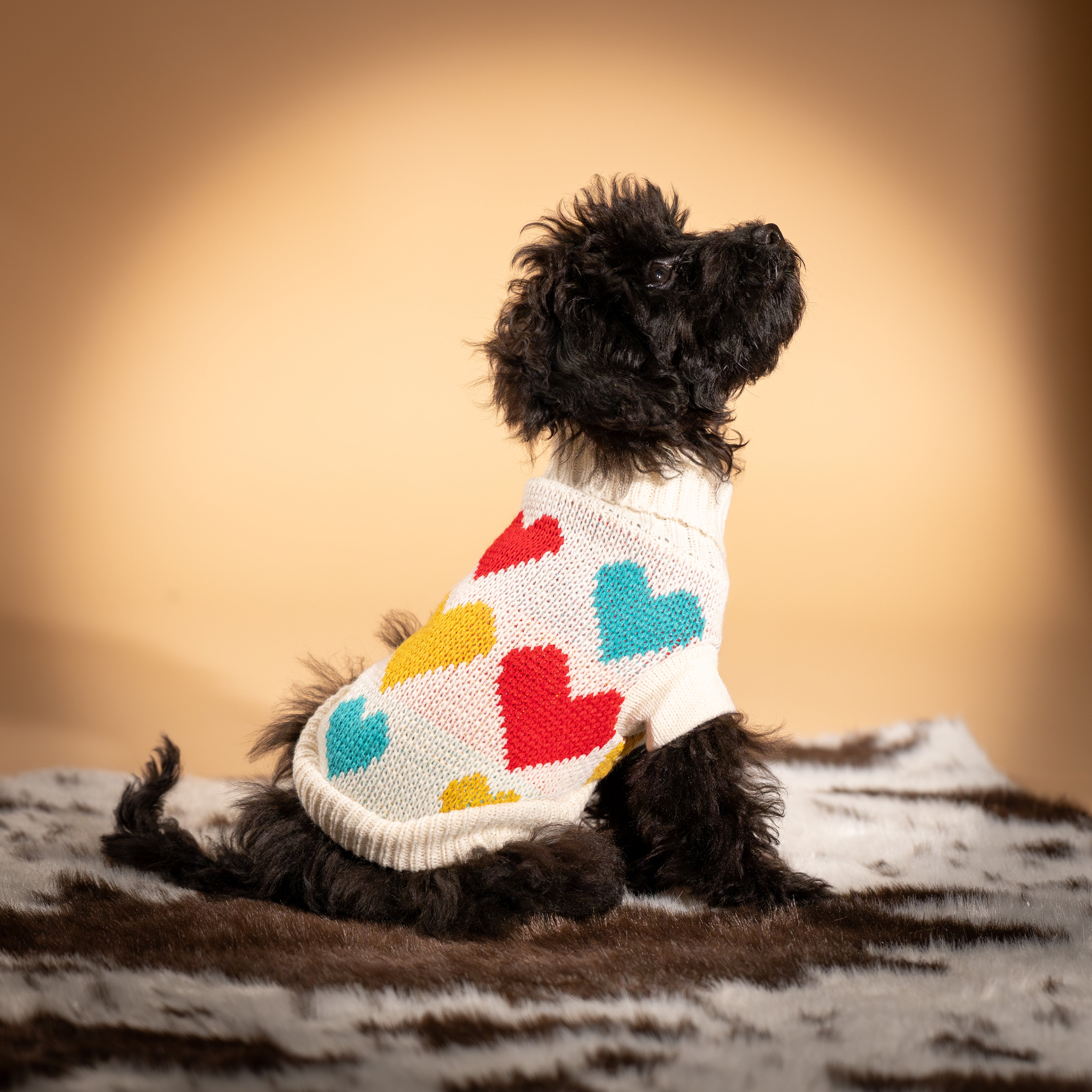 Maglioncino Dolcevita con Fantasia a Cuoricini - Bianco