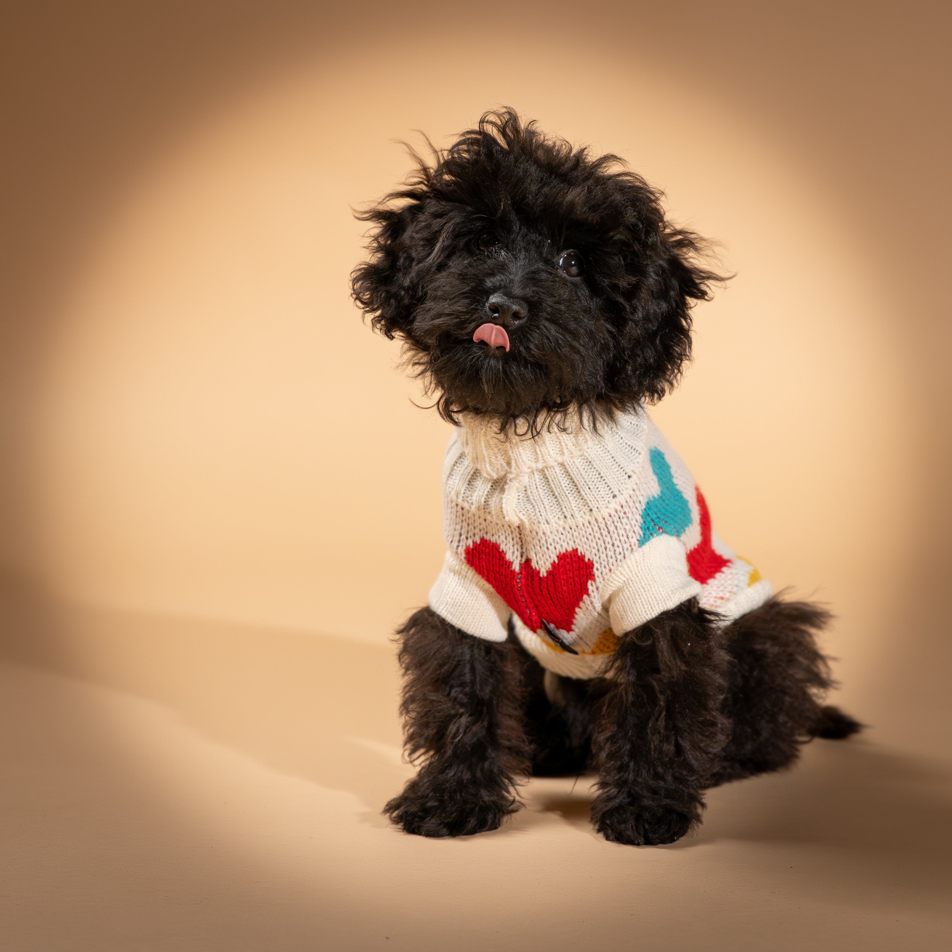 Maglioncino Dolcevita con Fantasia a Cuoricini - Bianco