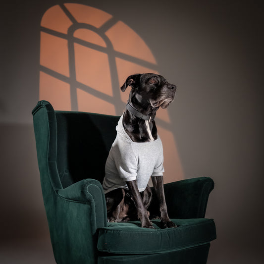 Felpa con Cappuccio - Grigio