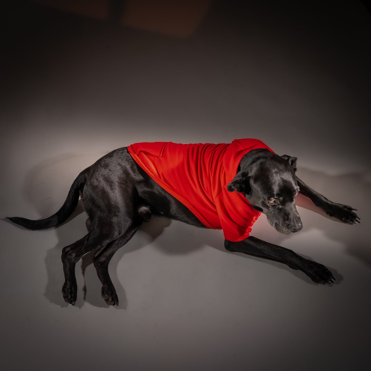 Felpa con Cappuccio - Rosso