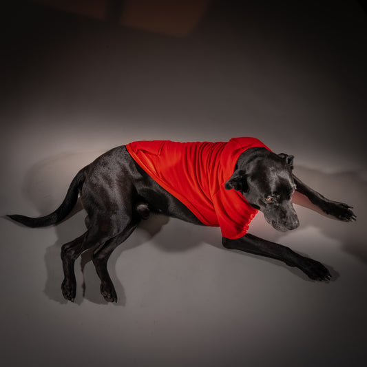 Felpa con Cappuccio - Rosso